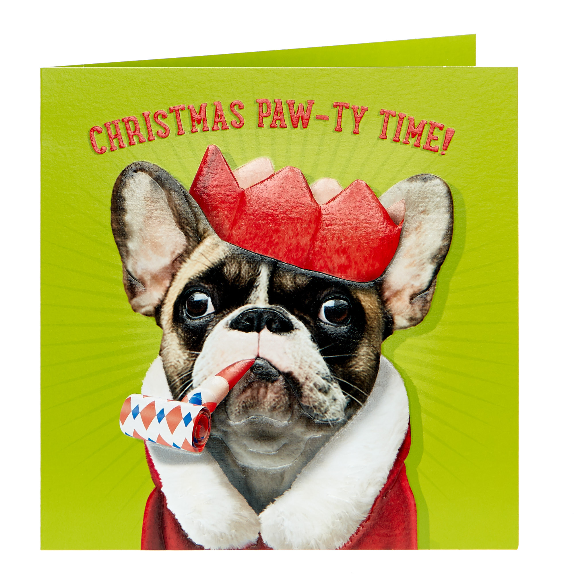 Christmas Card - Paw-ty Time!