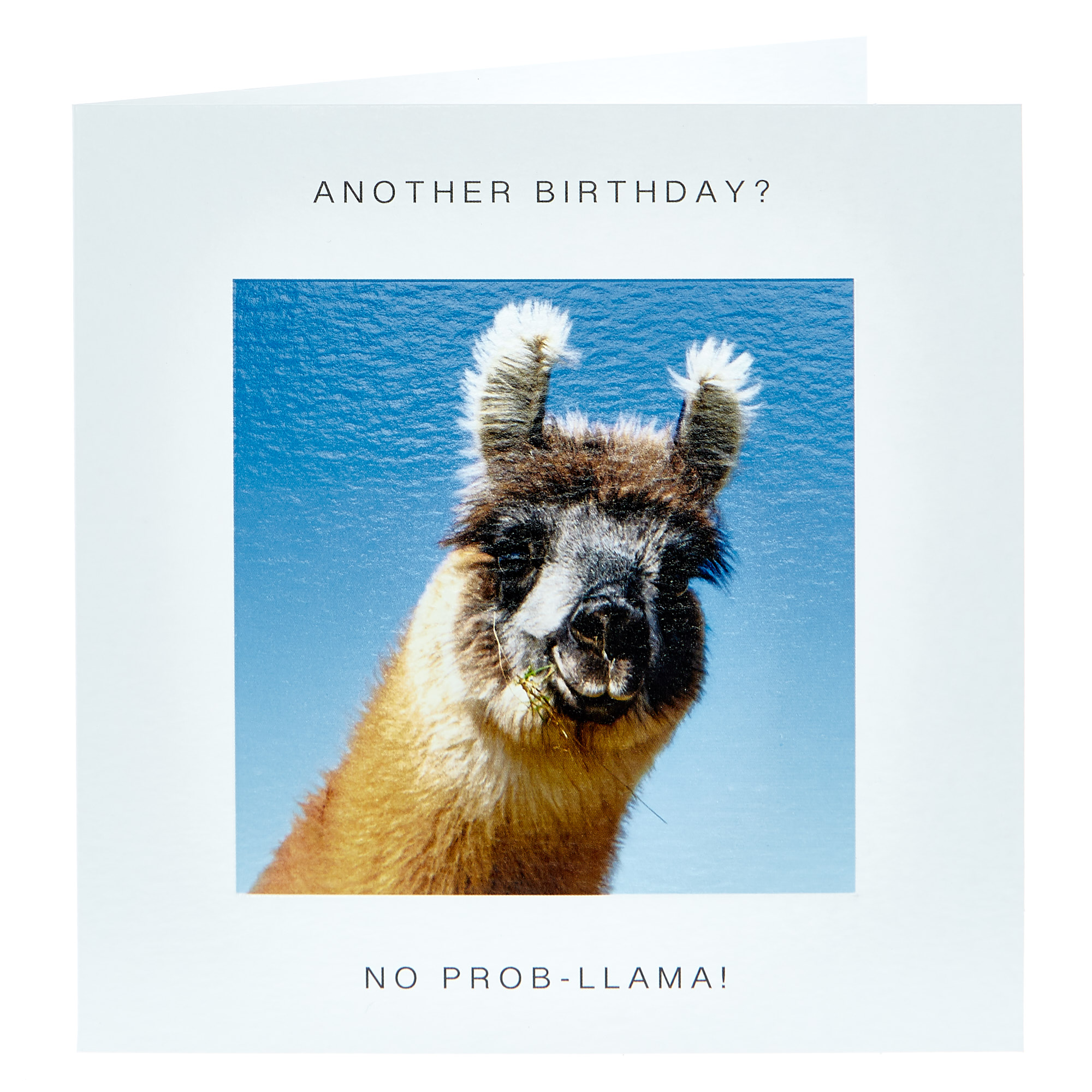 Birthday Card - No Prob-llama!