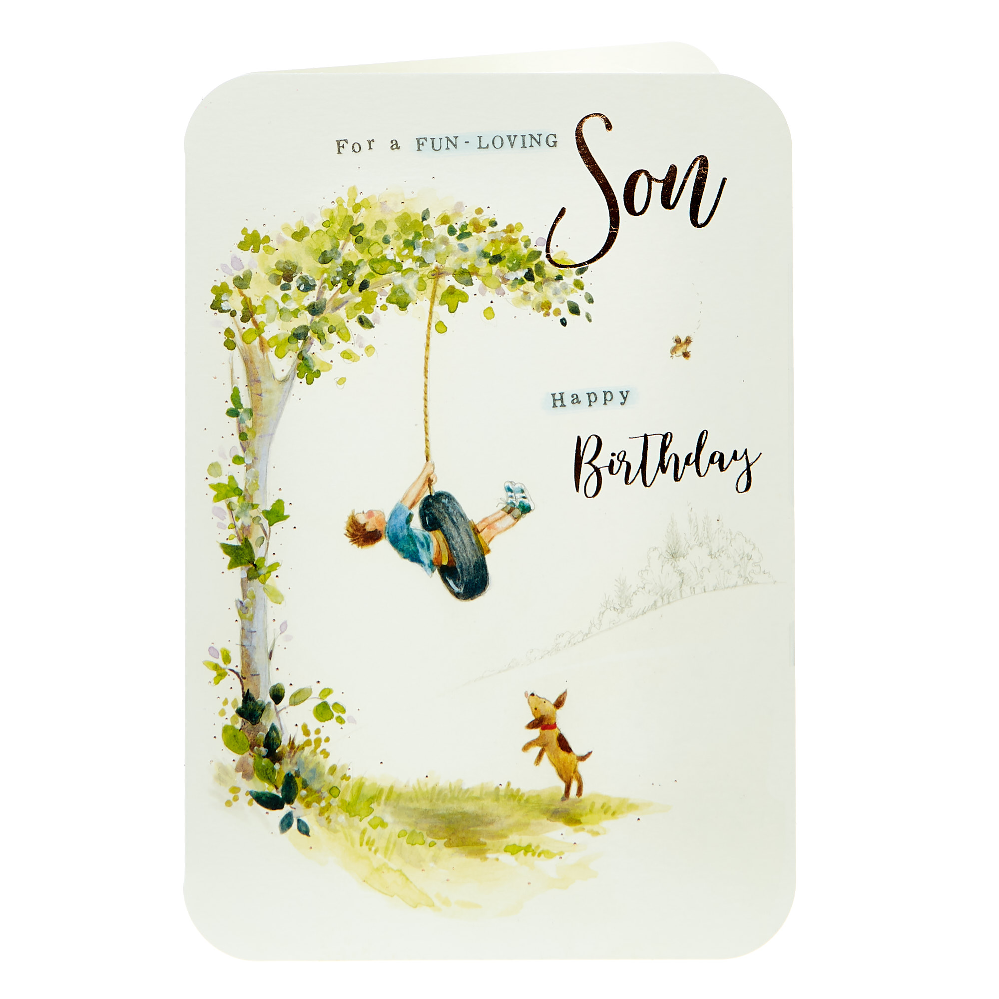 buy birthday card fun loving son for gbp 099 card