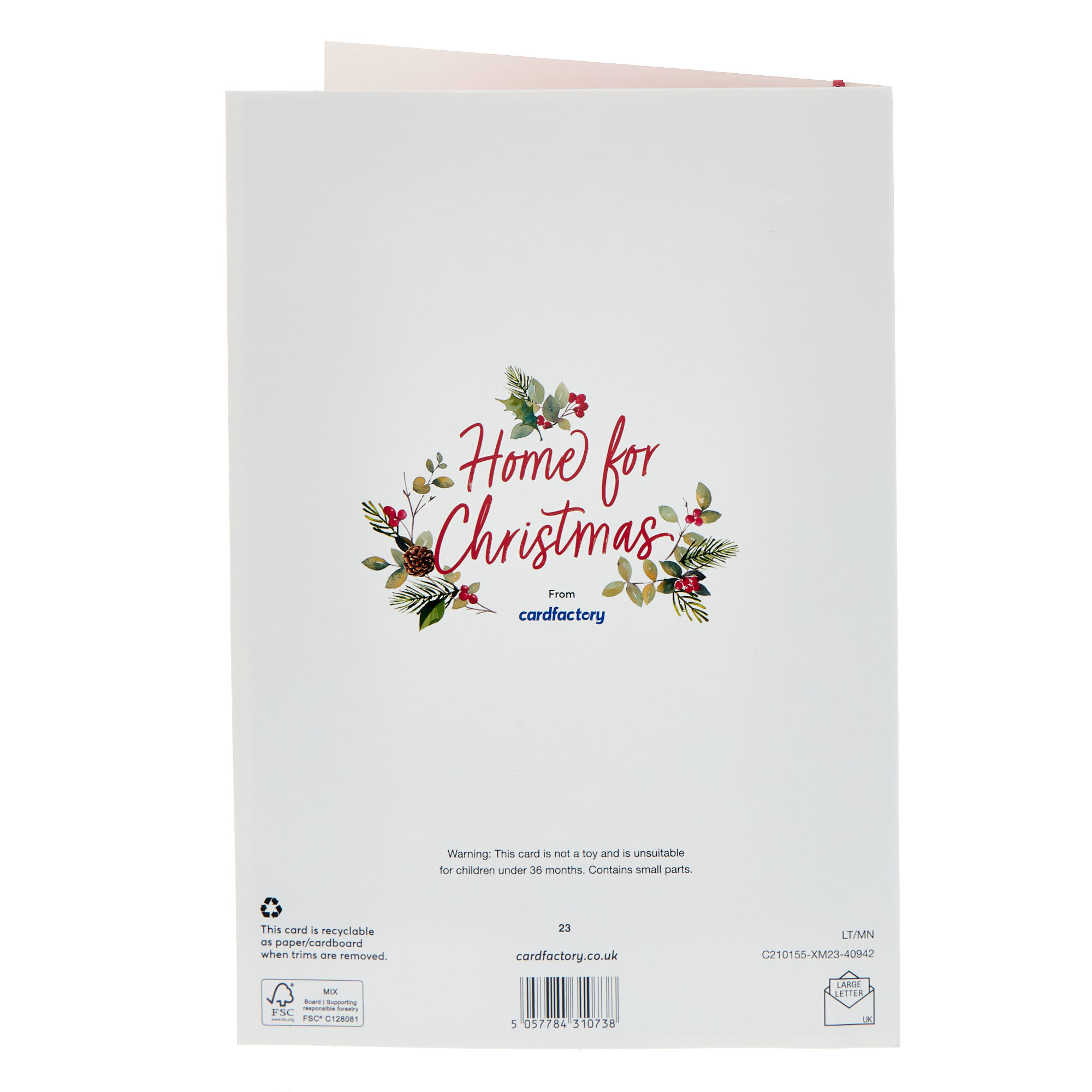 Special Friends Snowy Front Door Christmas Card
