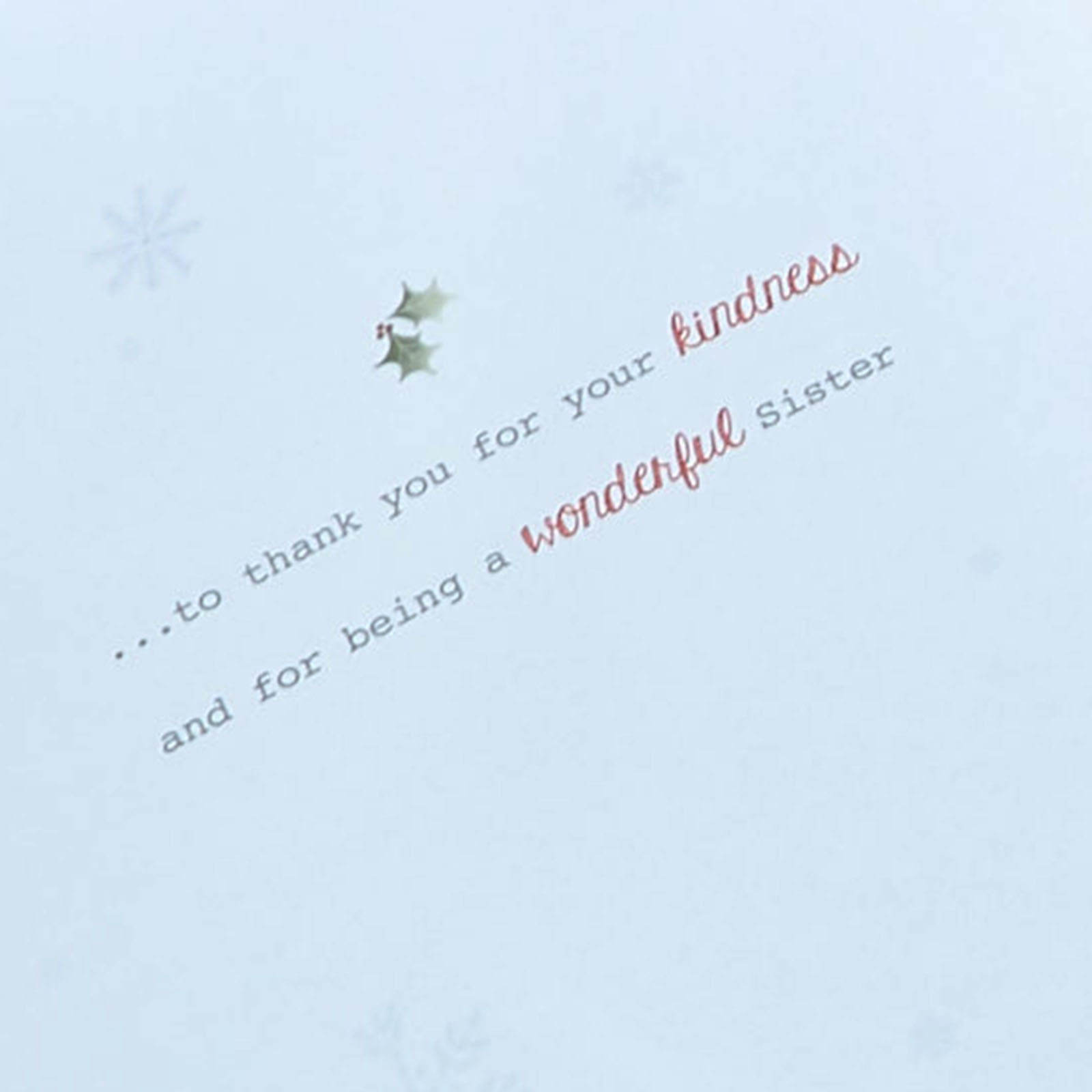 Christmas Card - Just For You Sister Hedgehog 
