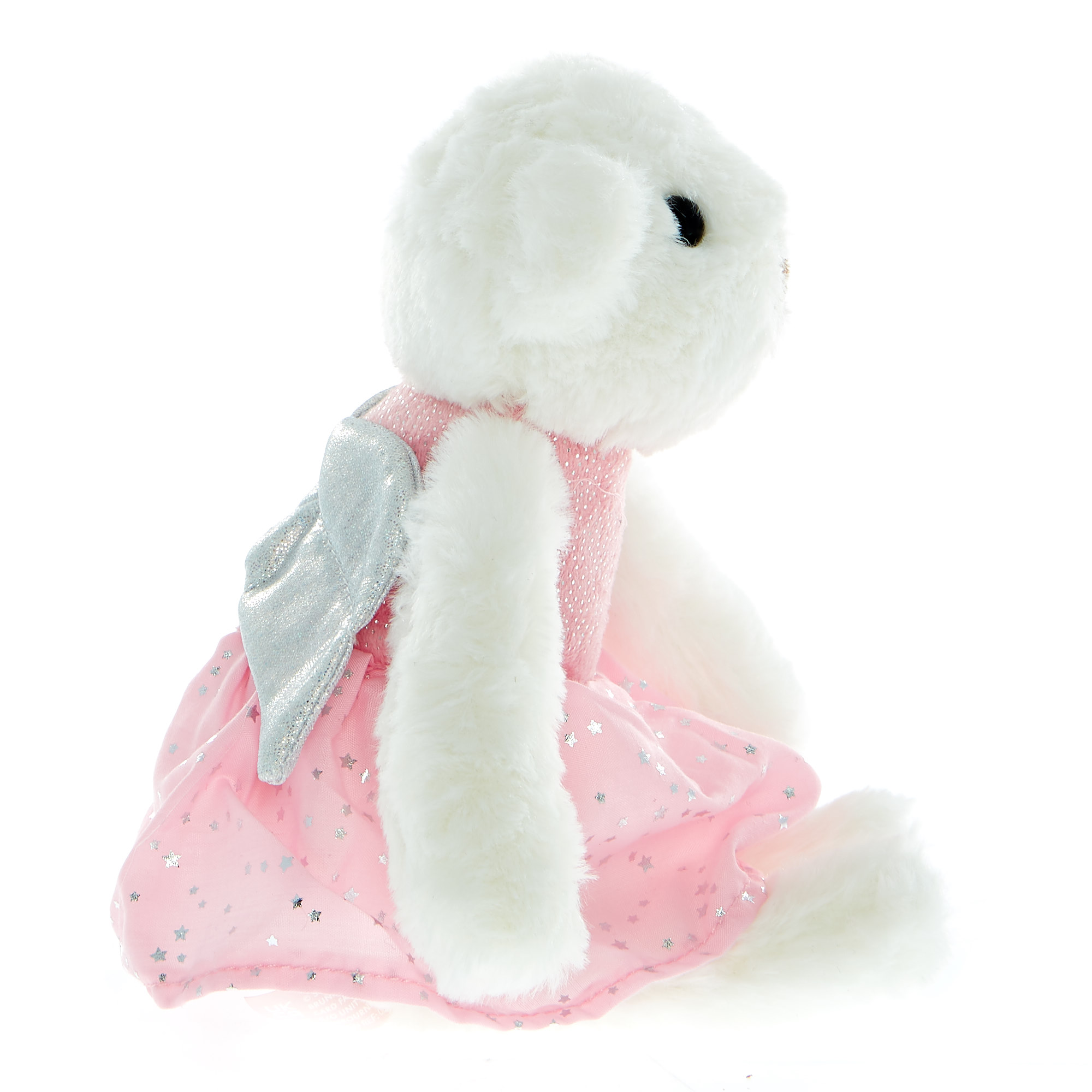 Small Ballet Bear Soft Toy