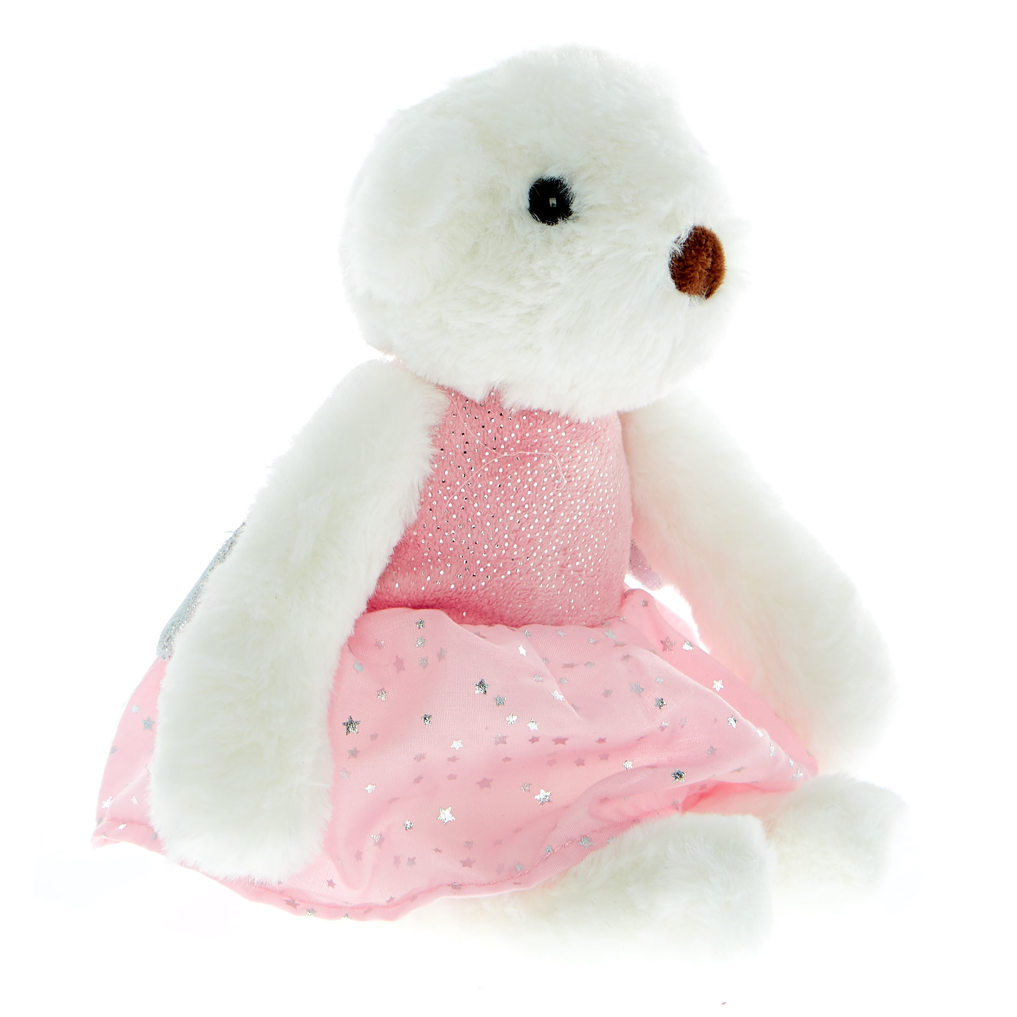 Small Ballet Bear Soft Toy