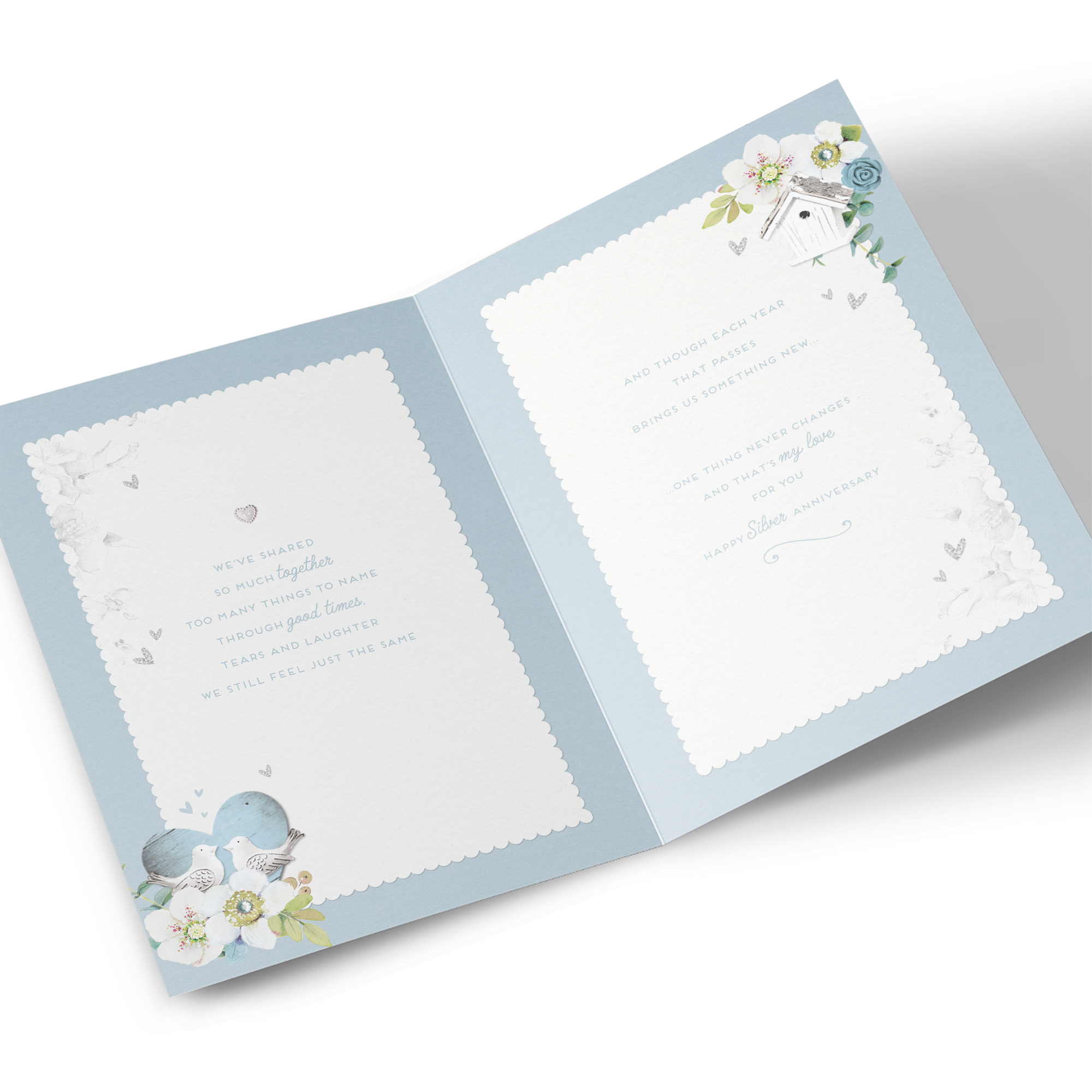 Silver Wedding Anniversary Card - 25 Years of Us