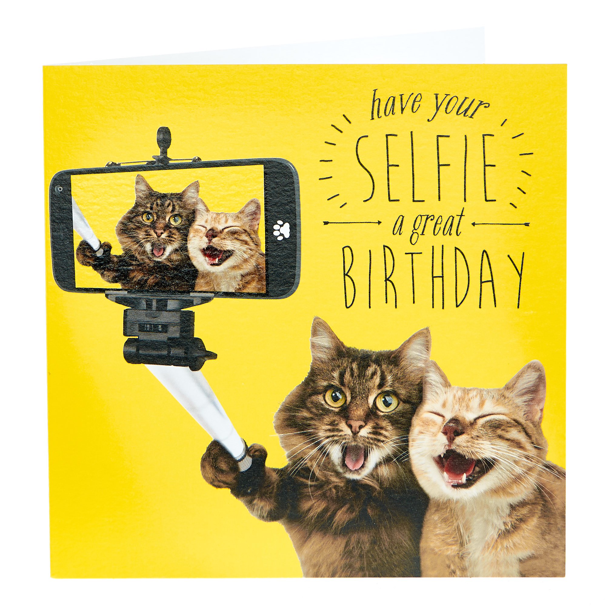 Birthday Card - Selfie Cats