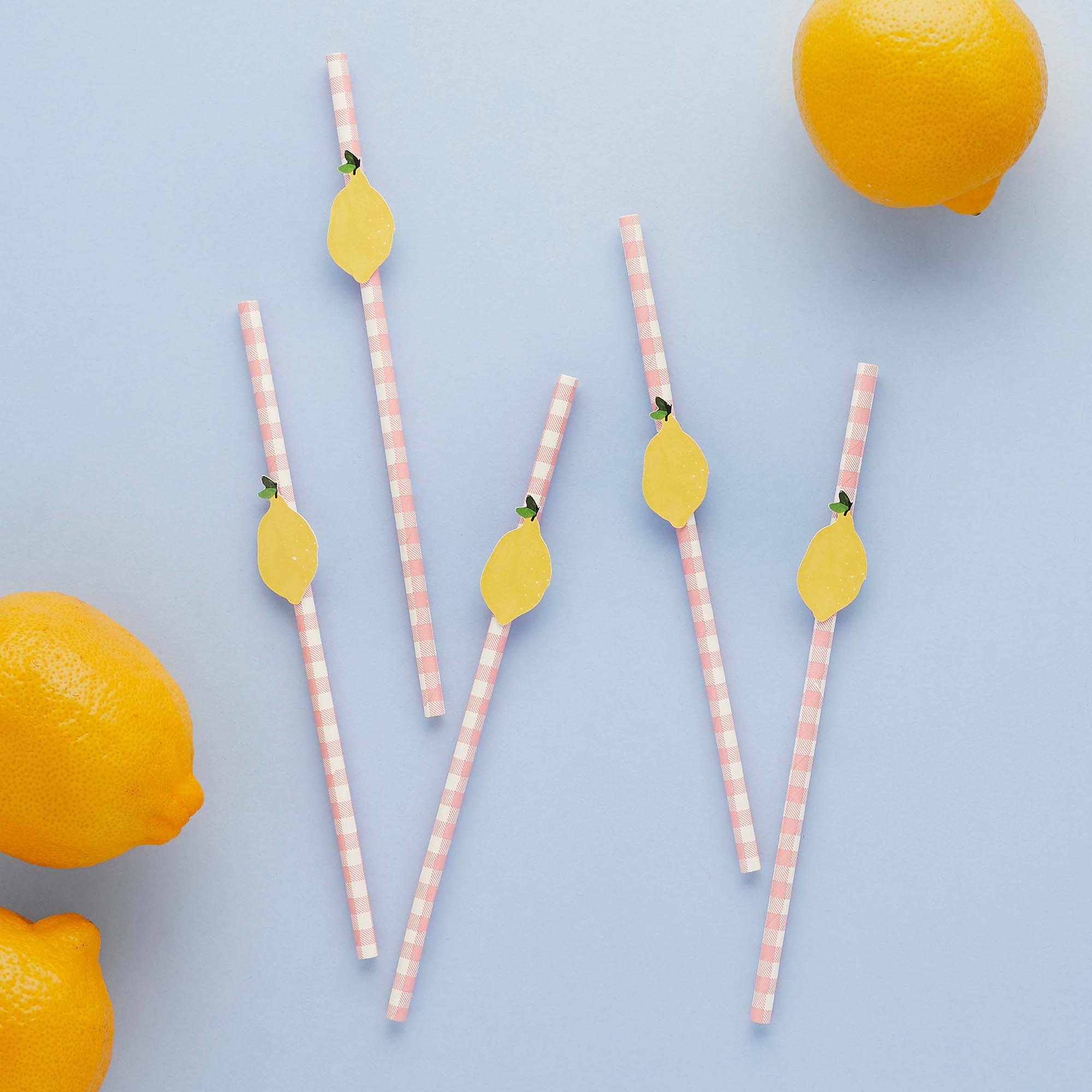 Lemon & Gingham Paper Straws - Pack of 20