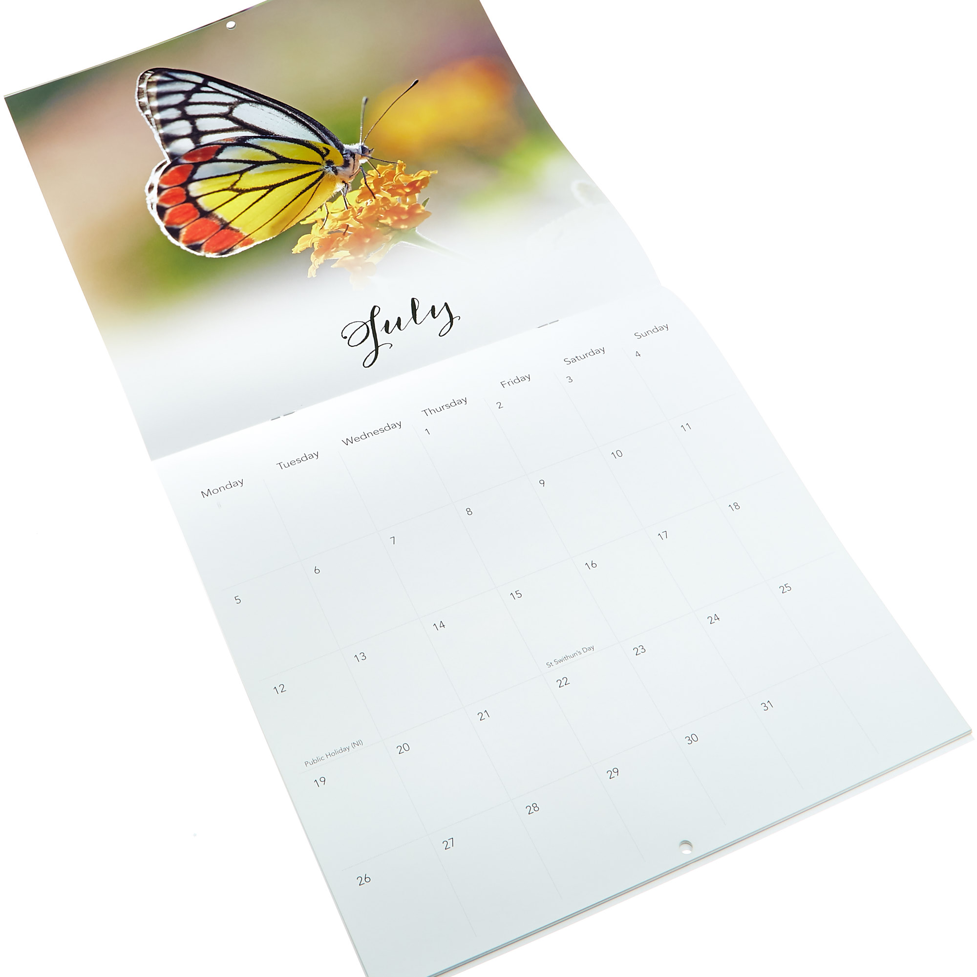 Butterflies 2021 Calendar