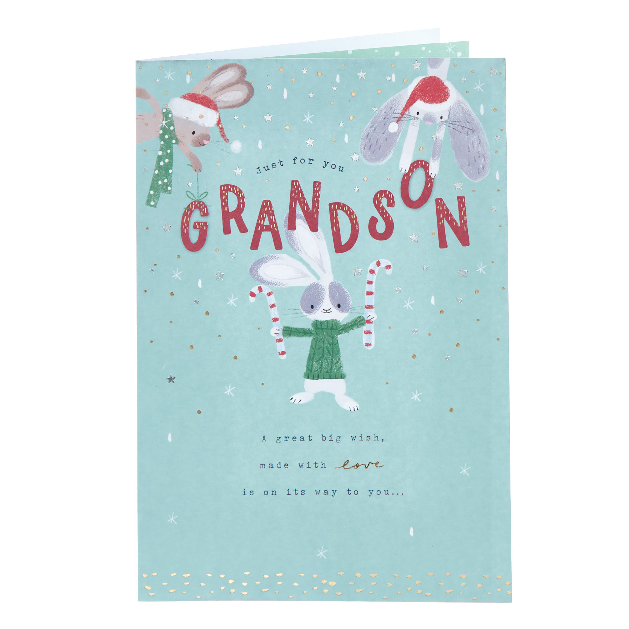 Grandson Bunnies Christmas Card
