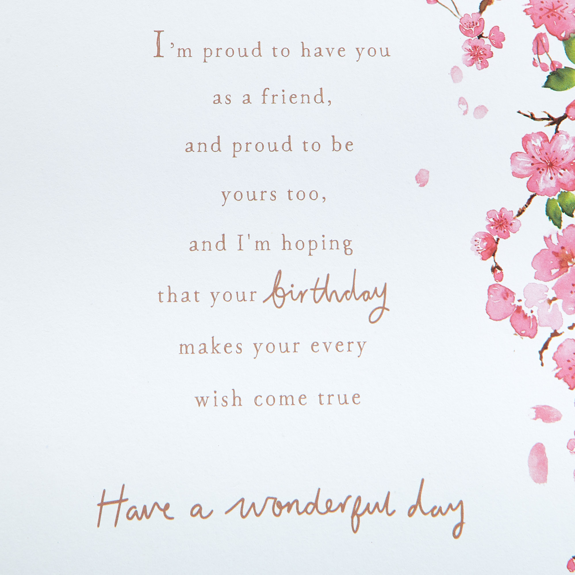 Birthday Card - Special Friend Cherry Blossom