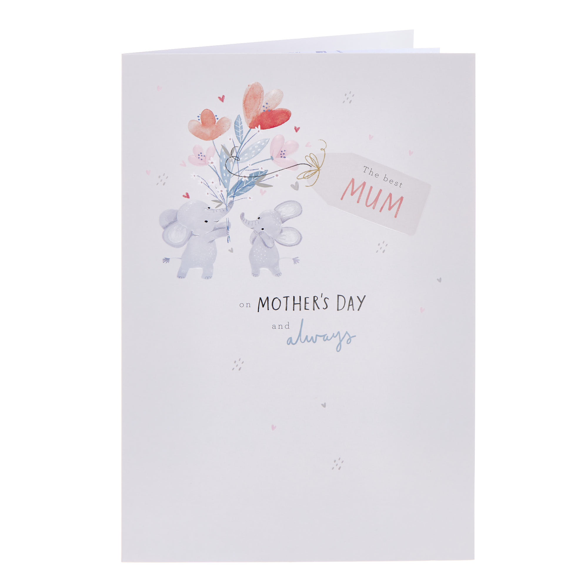 The Best Mum Elephants Mother's Day Card