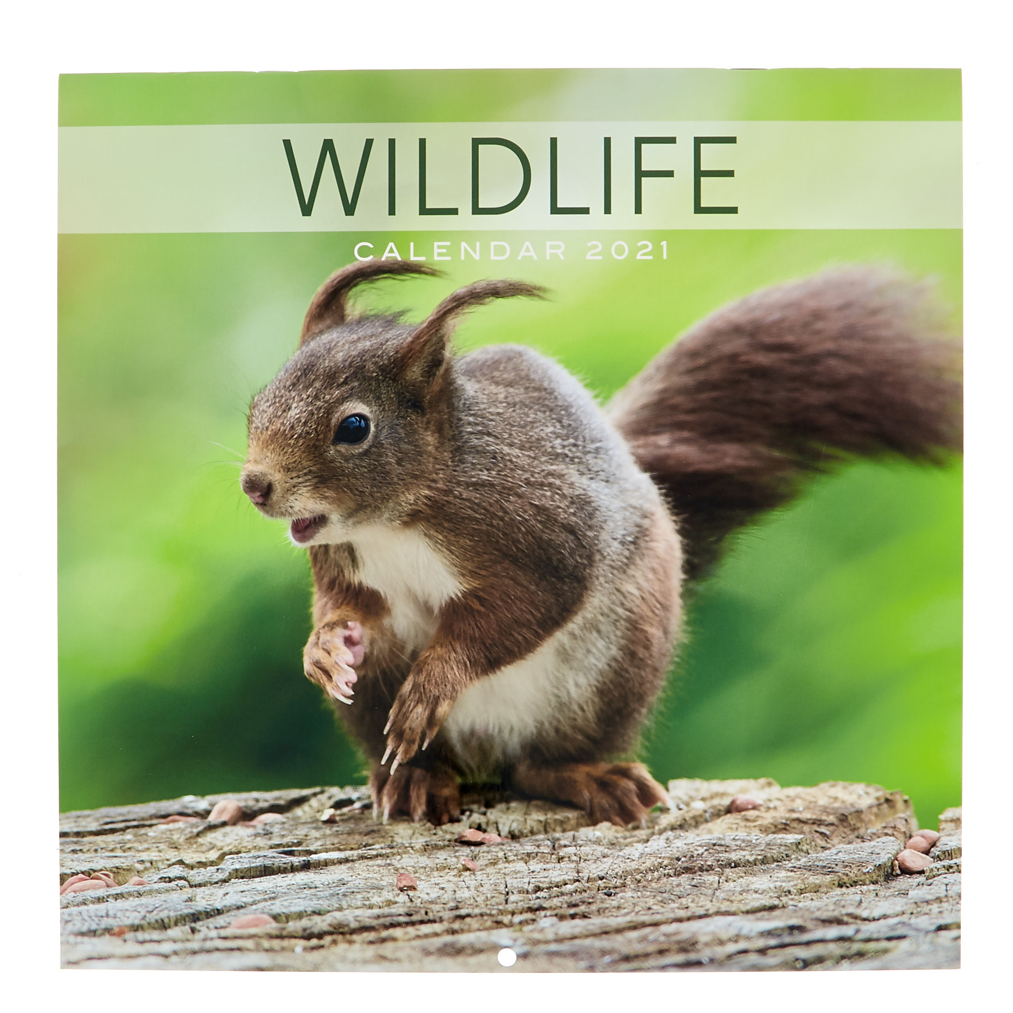 Wildlife 2021 Calendar 