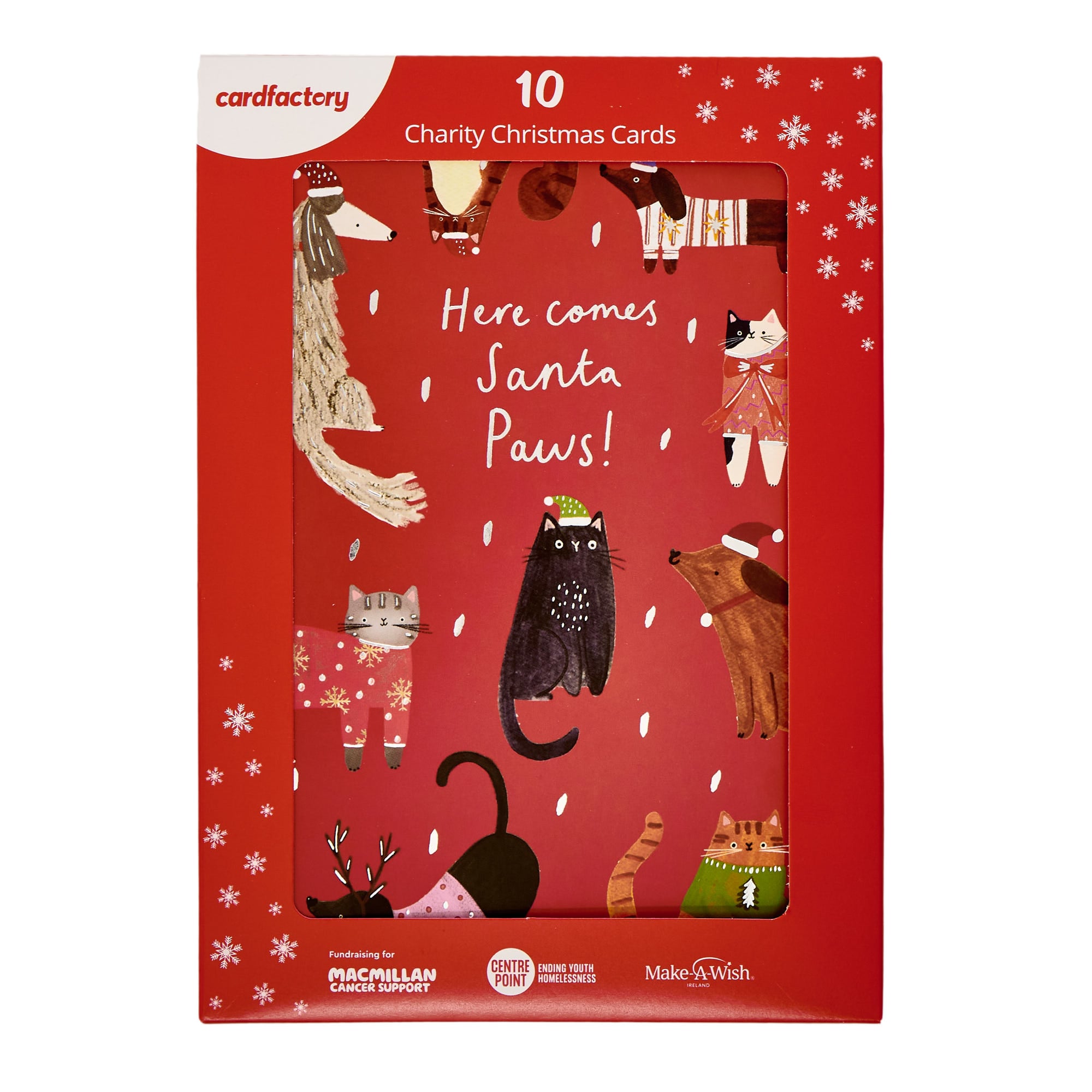 10 Portrait Santa Paws Charity Christmas Cards