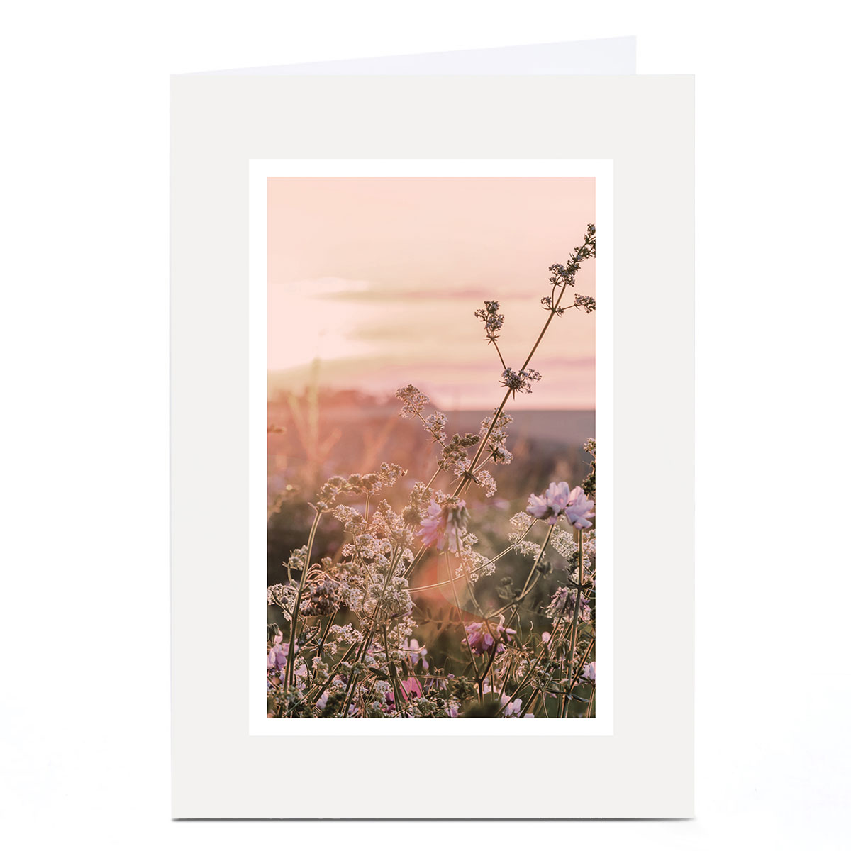 Macmillan Card Wildflower Meadow