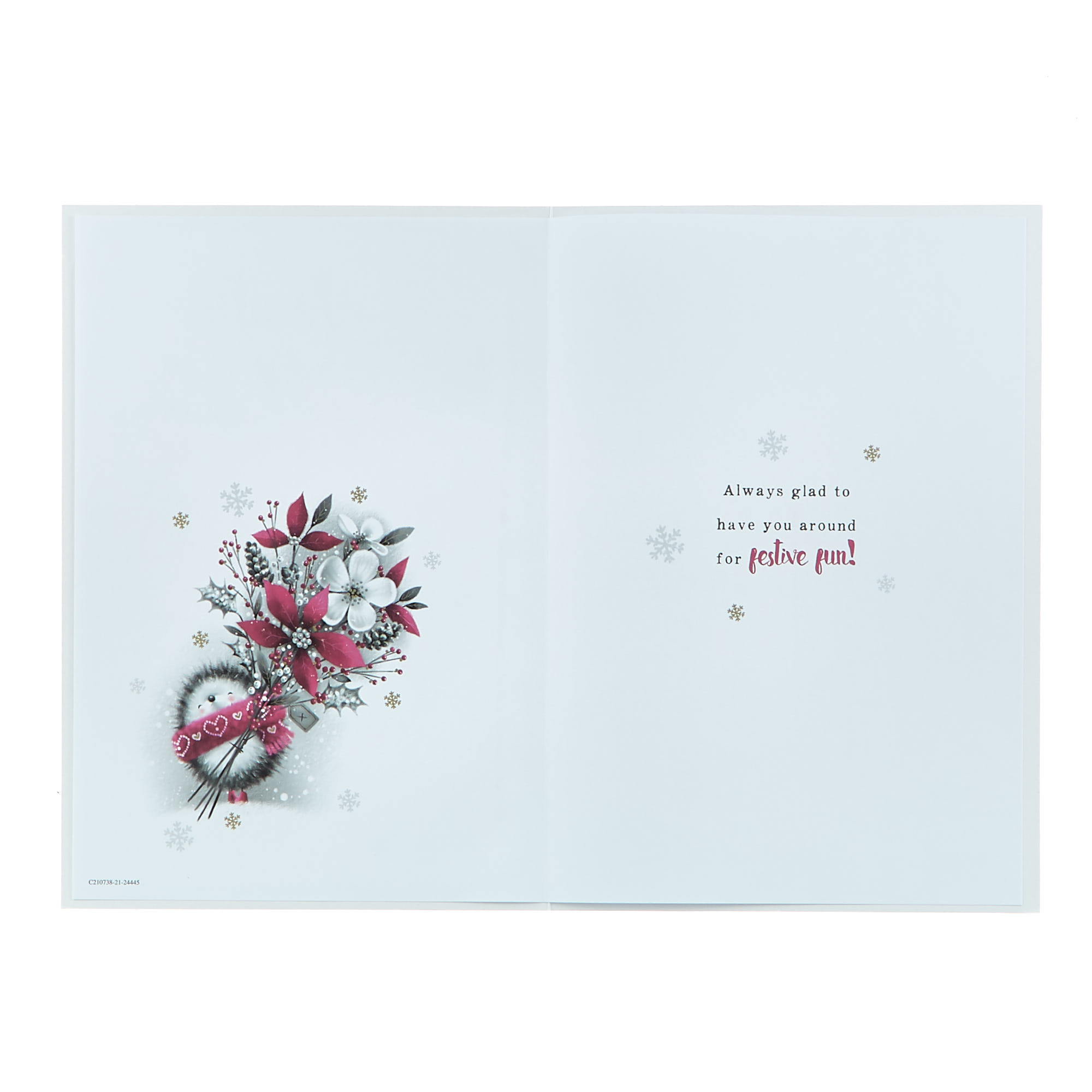 Christmas Card - Brilliant Auntie Hedgehog