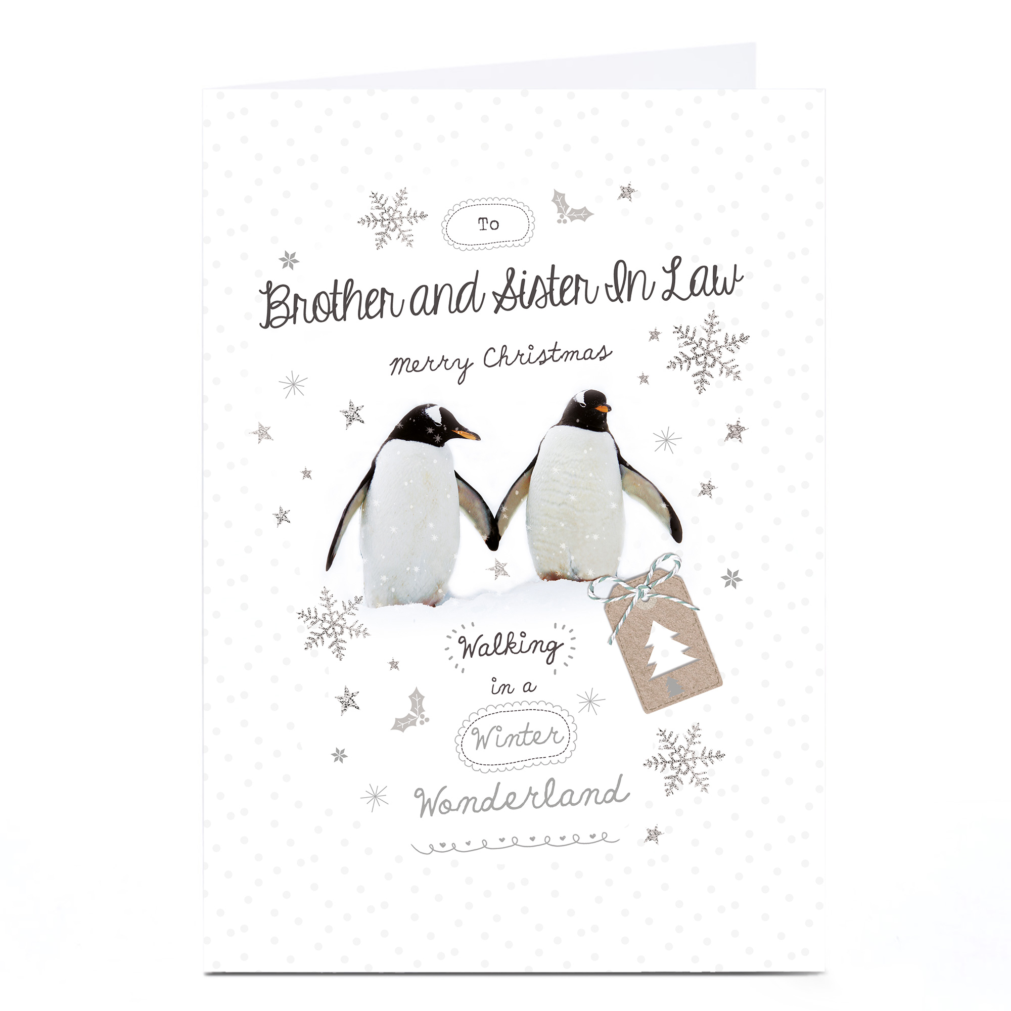Personalised Christmas Card - Penguins - Brother and Sister-In-Law