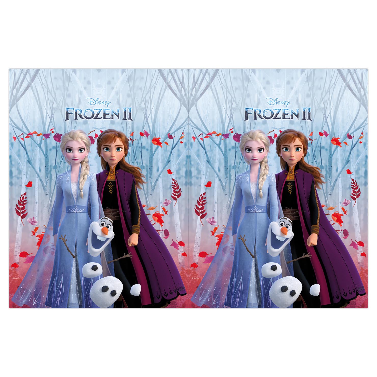 Frozen 2 Party Tableware & Decorations Bundle - 16 Guests