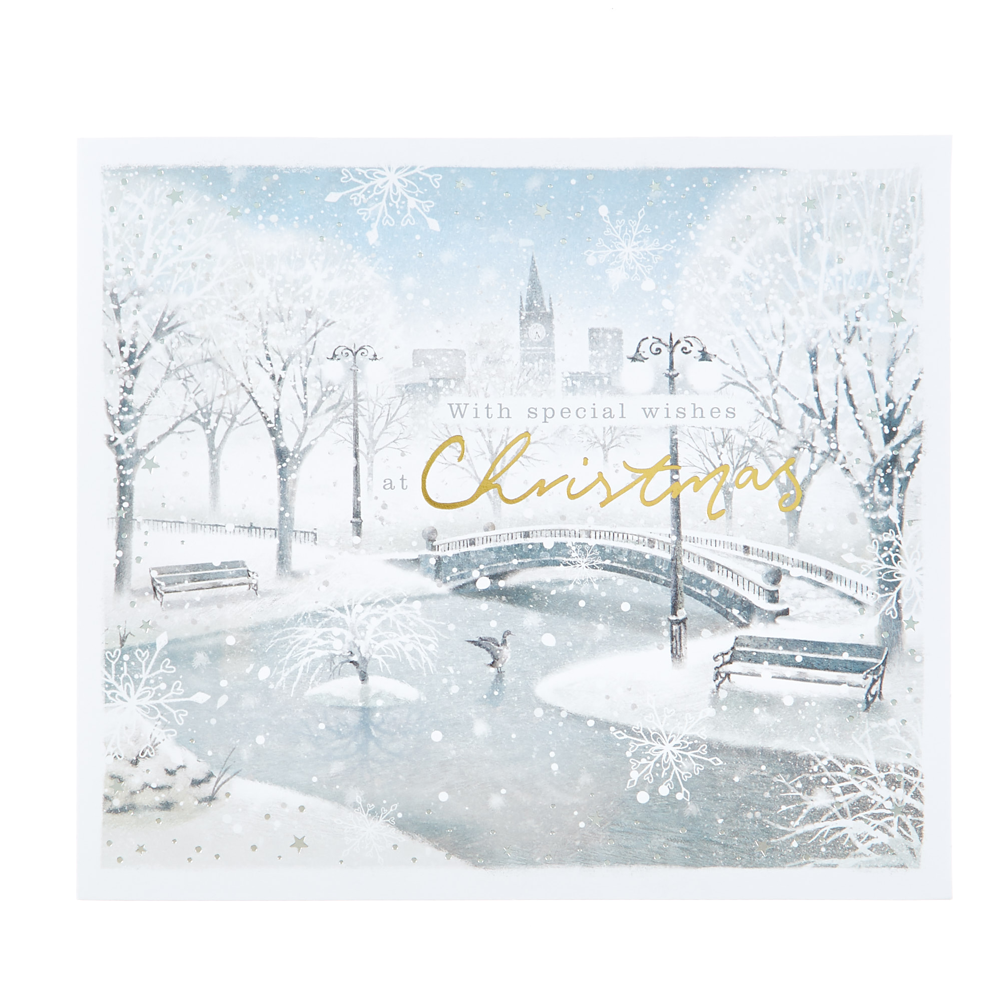 10 Deluxe Charity Boxed Christmas Cards - Magical Winter (2 Designs)