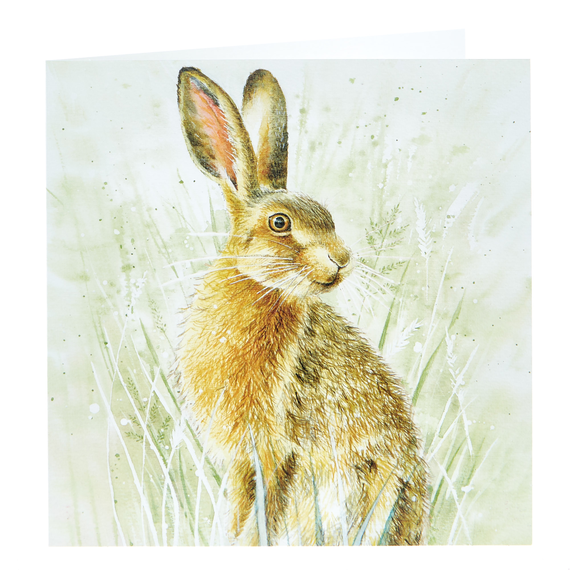 Any Occasion Card - Wild Hare