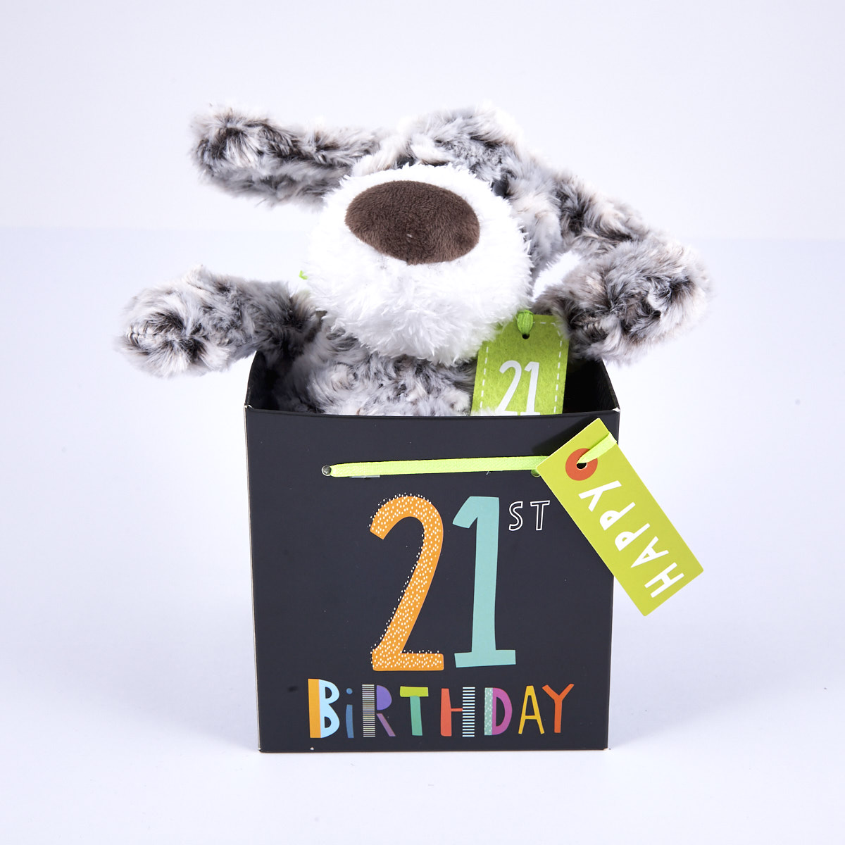21st Birthday - Grey & White Dog In Gift Bag