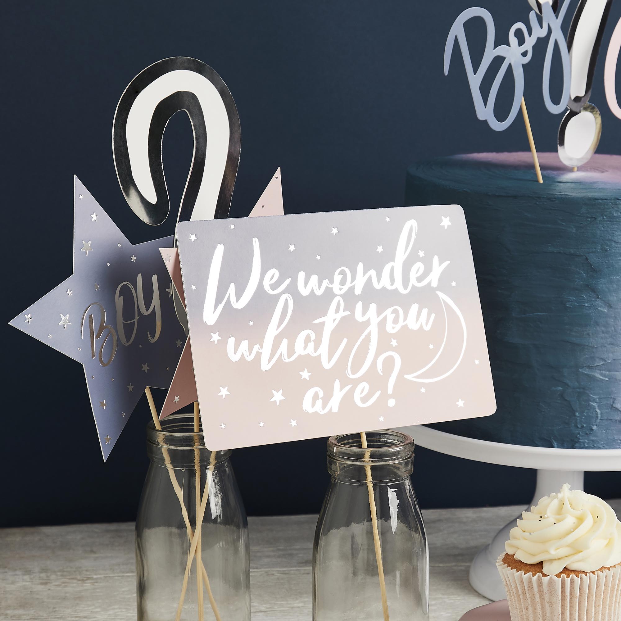 Gender Reveal Photo Booth Props - Pack of 10