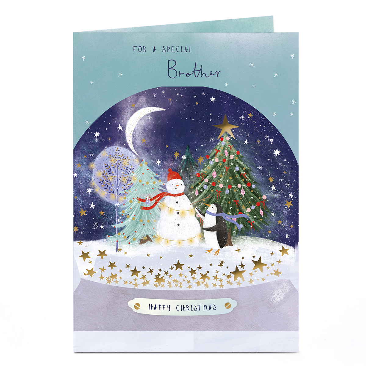 Christmas Card - Winter Penguin Snowglobe, Brother
