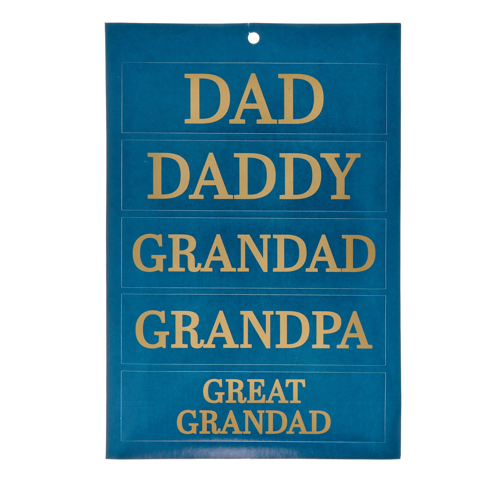 Personalised Father's Day Large Portrait Gift Bag
