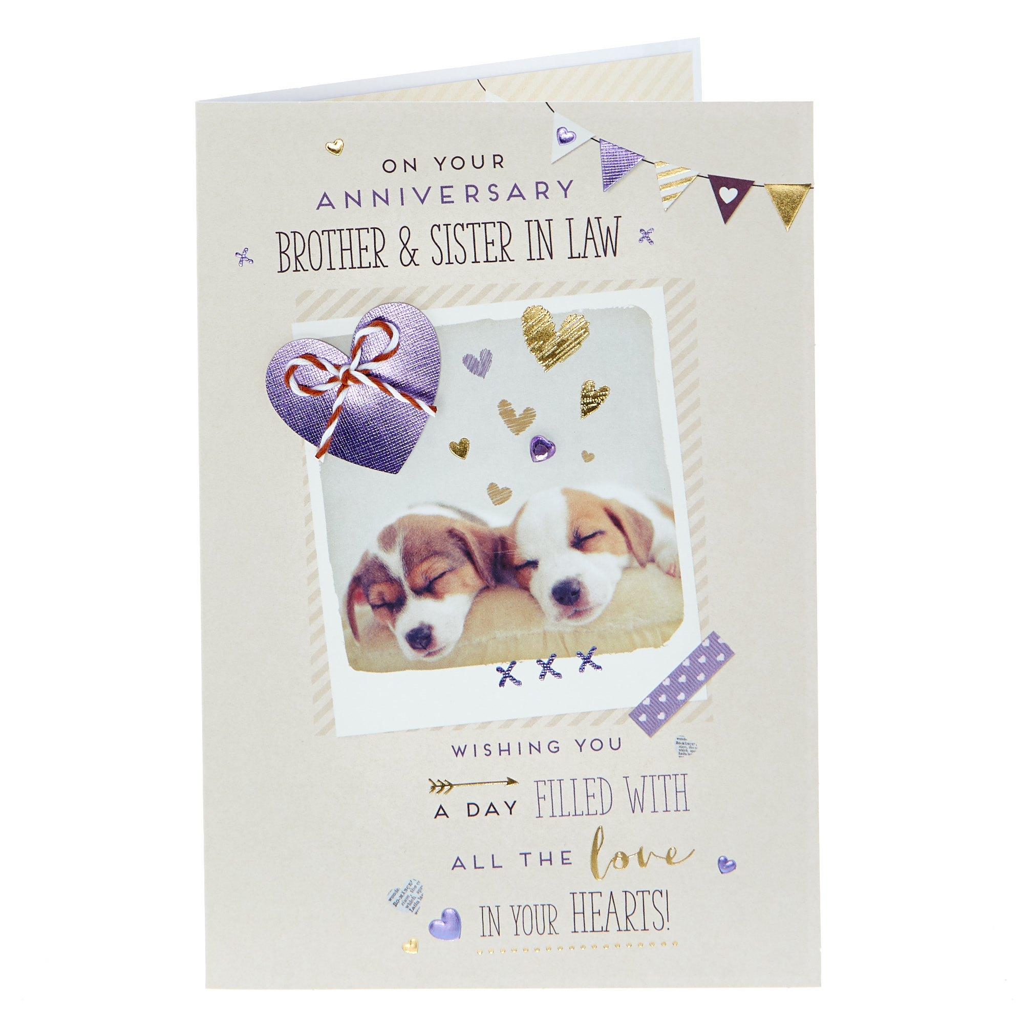 buy anniversary card brother sister in law puppies for