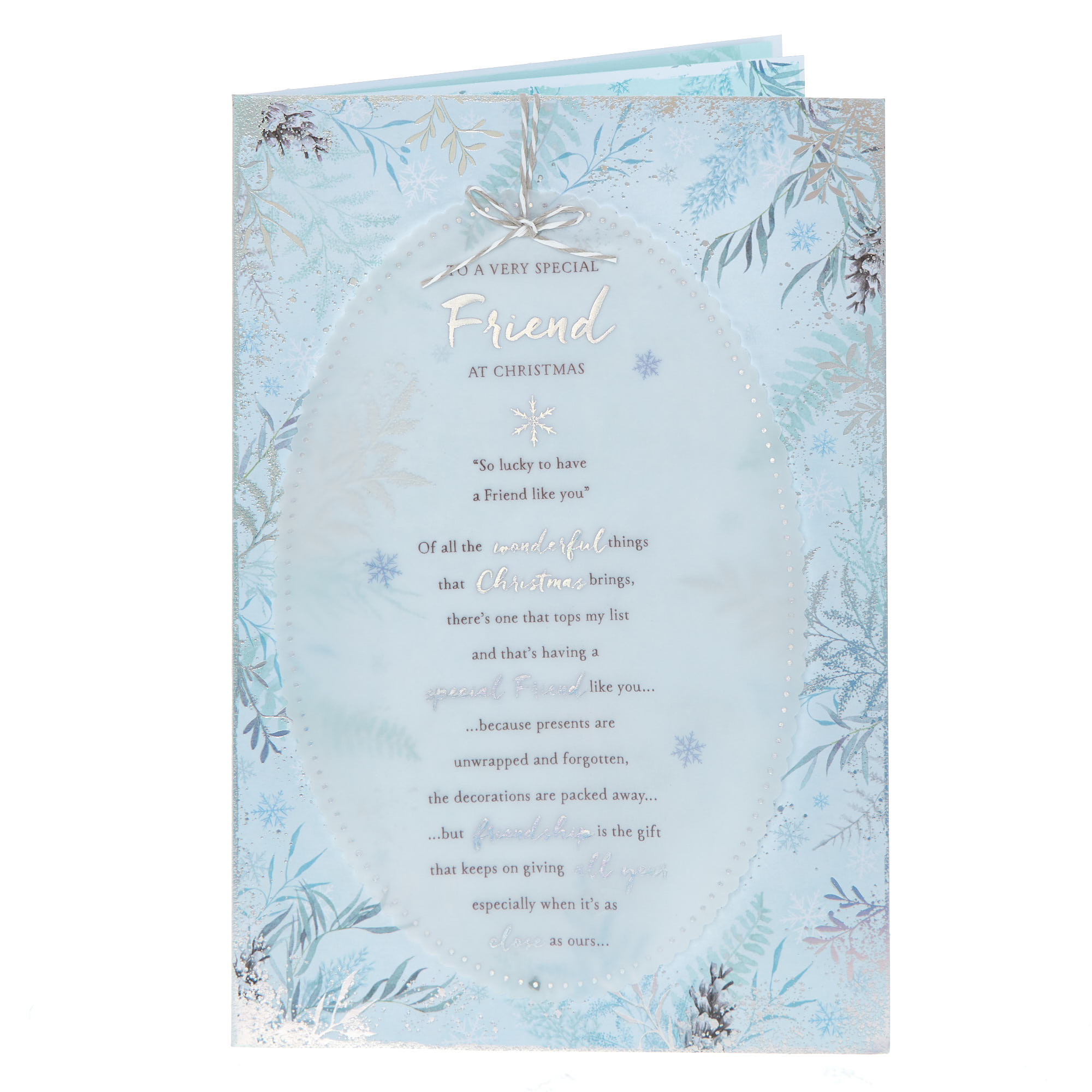 Special Friend So Lucky To Have You Christmas Card