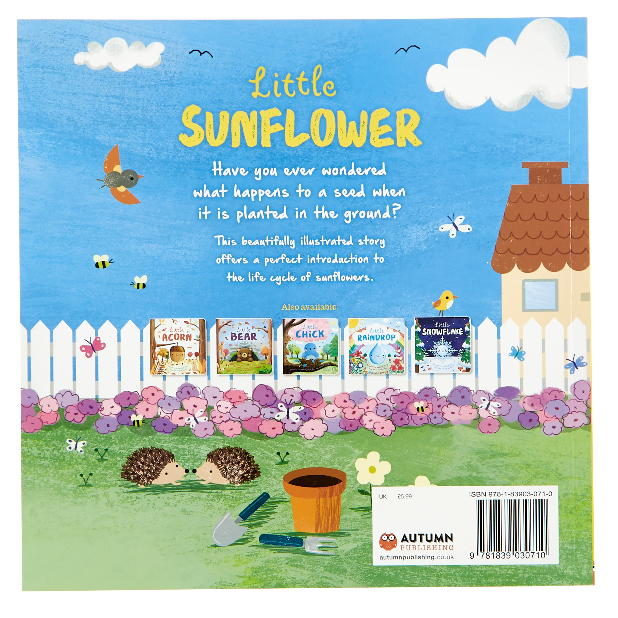 Little Sunflower Storybook