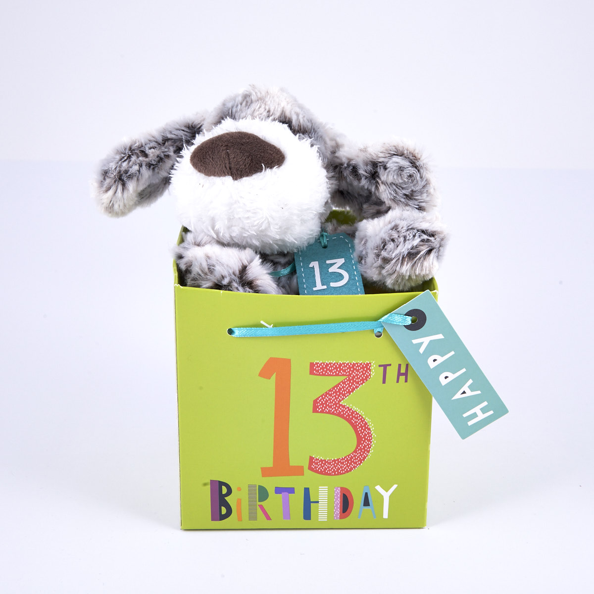 Buy 13th Birthday Grey & White Dog In Gift Bag for GBP 2