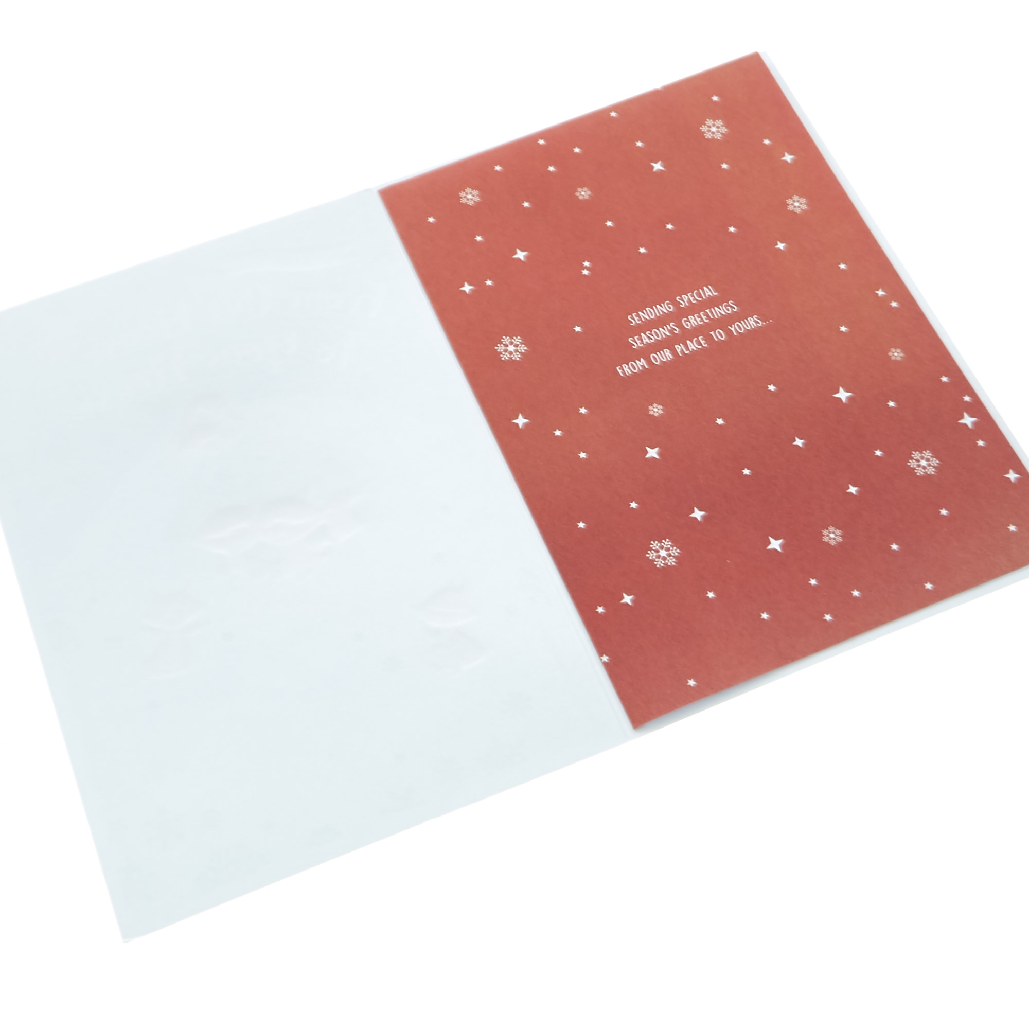 Christmas Card - Our House To Yours Foxes