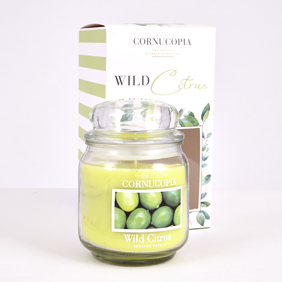 Cornucopia Boxed Wild Citrus Scented Candle