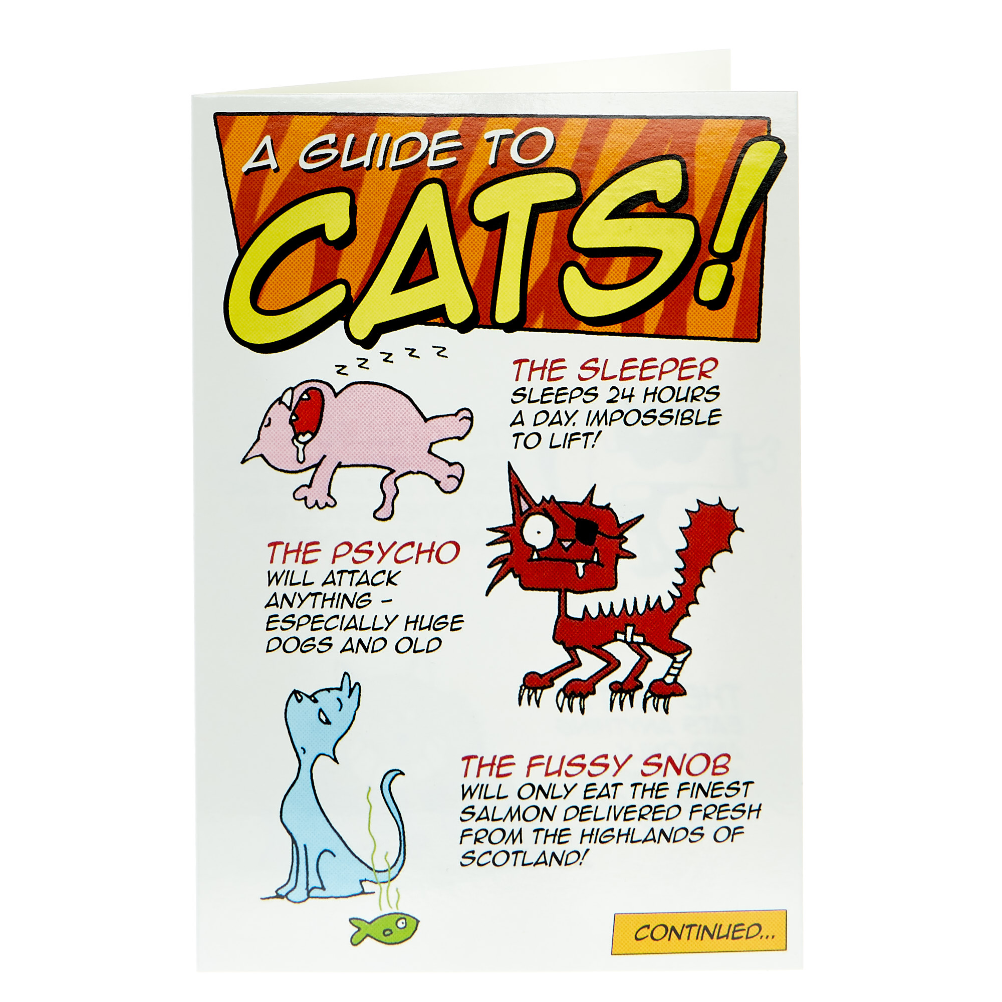 Birthday Card - A Guide To Cats