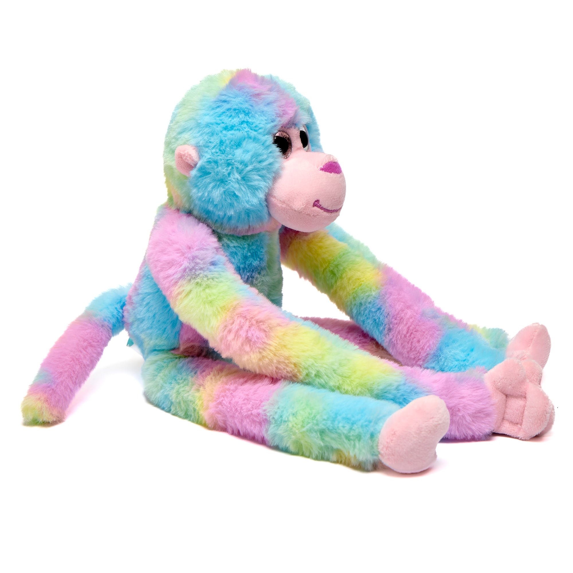 Rainbow Monkey Soft Toy