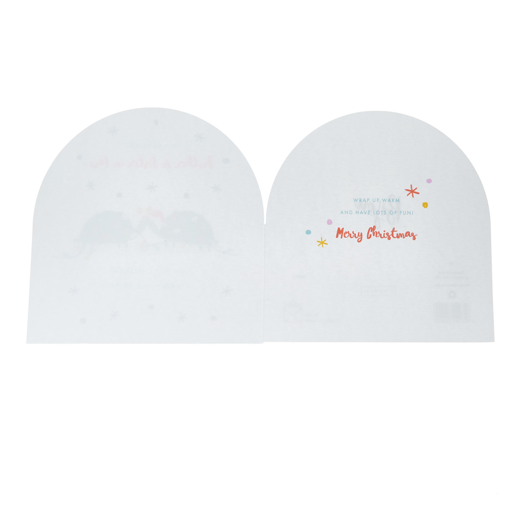 Brother & Sister In Law Turtles Christmas Card
