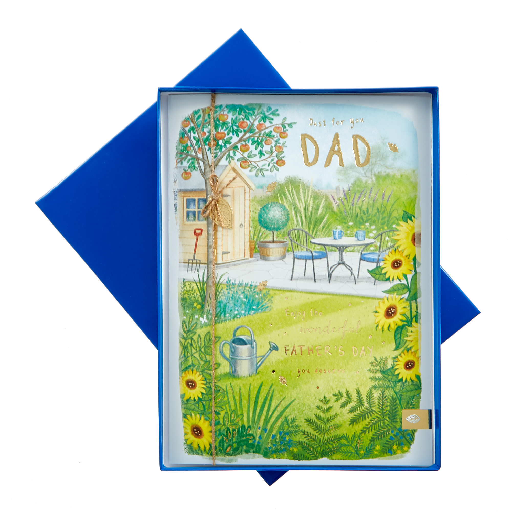 Boxed Father's Day Card - Just For You Dad
