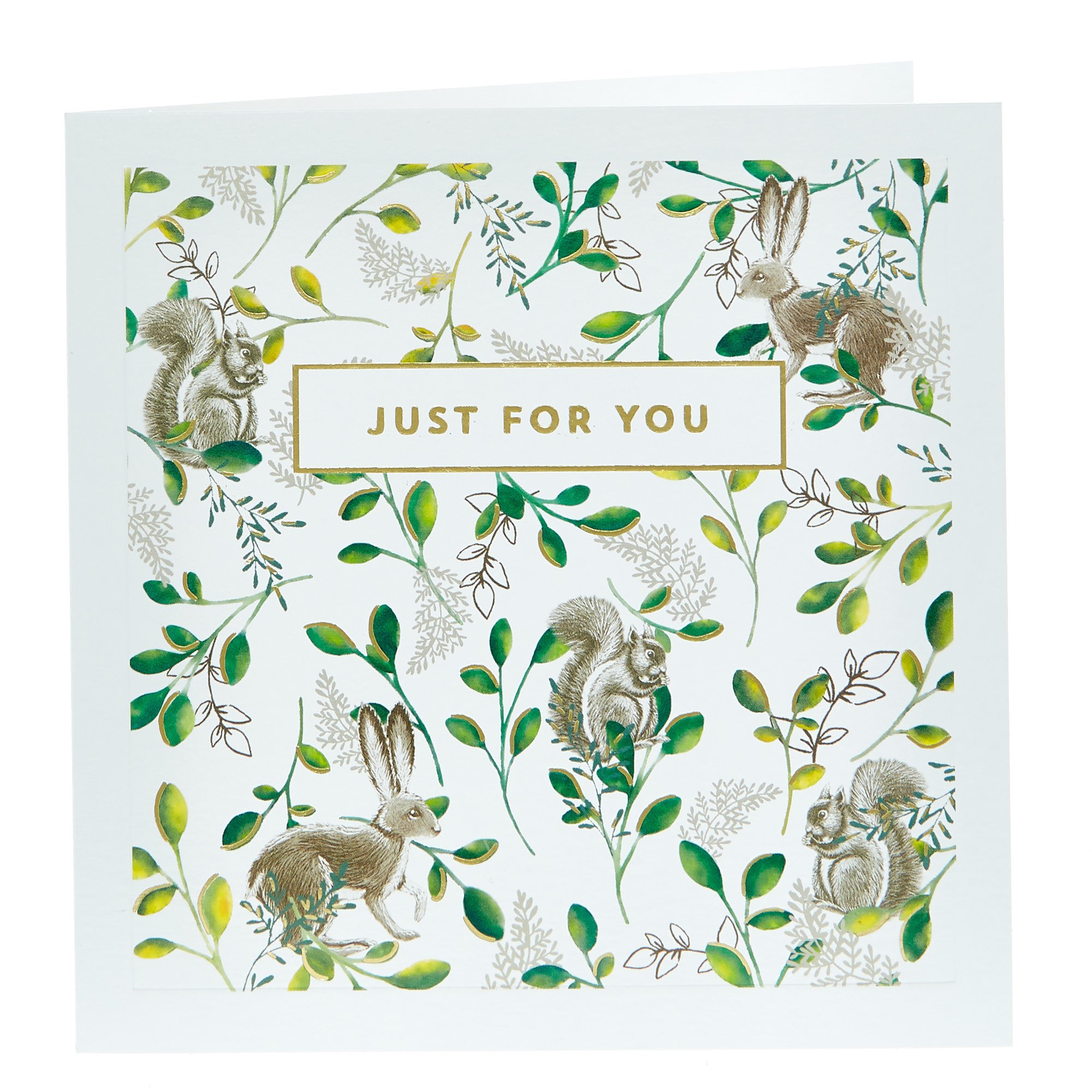 Any Occasion Card - Squirrels Just for You