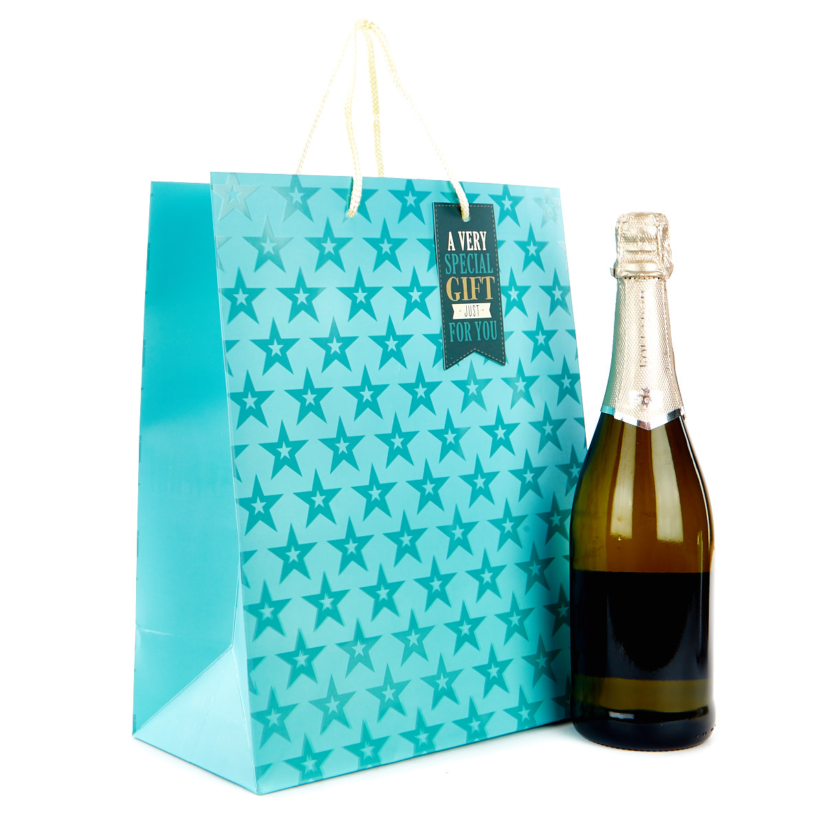 Large Portrait Blue Starry Gift Bag - A Special Gift Just For You