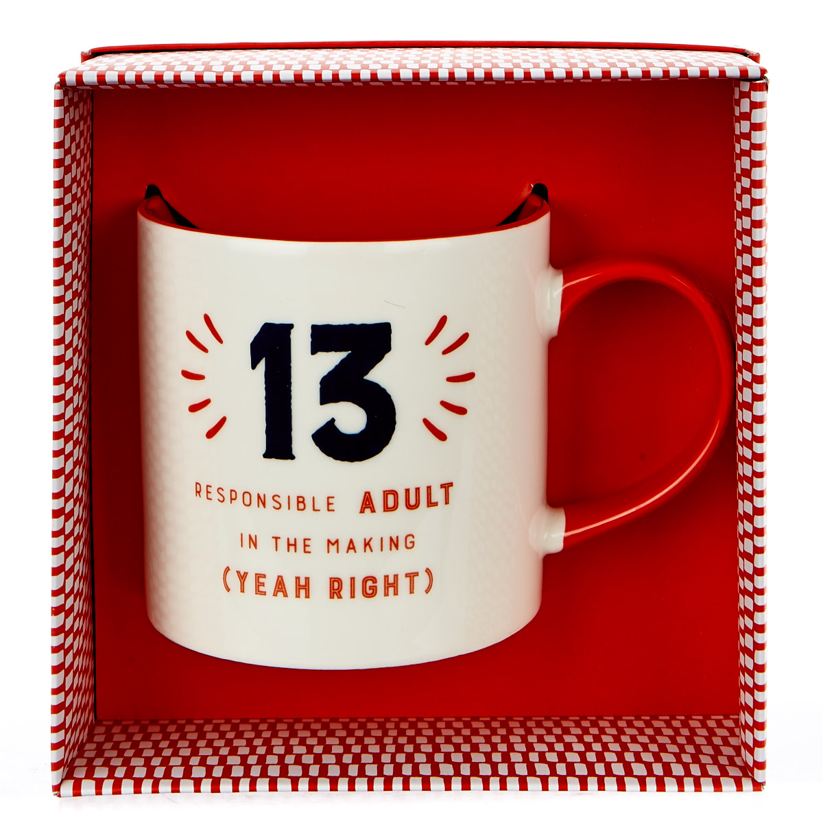 13th Birthday Mug - Responsible Adult In The Making
