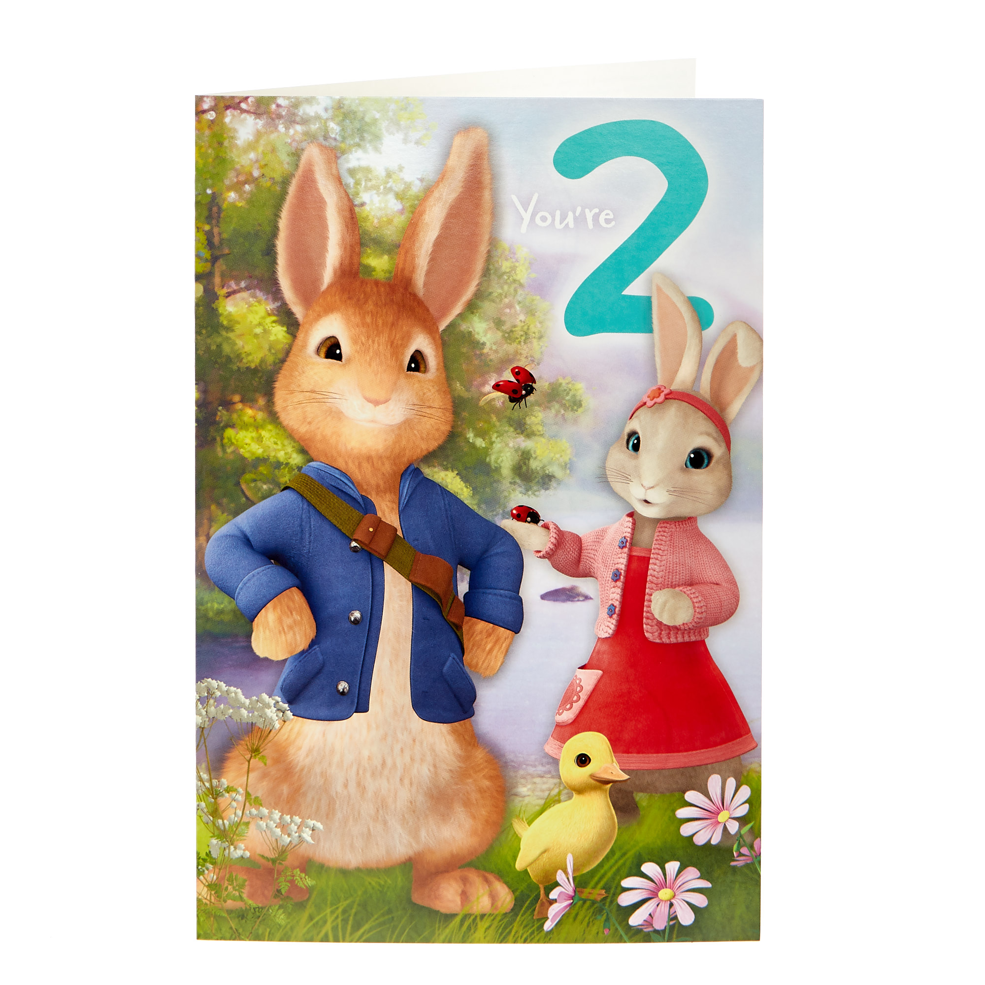 Peter Rabbit 2nd Birthday Card
