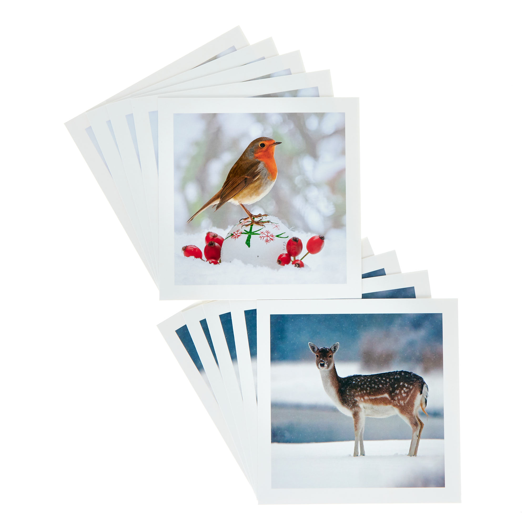 18 Charity Christmas Cards - Deer & Robin (2 Designs)