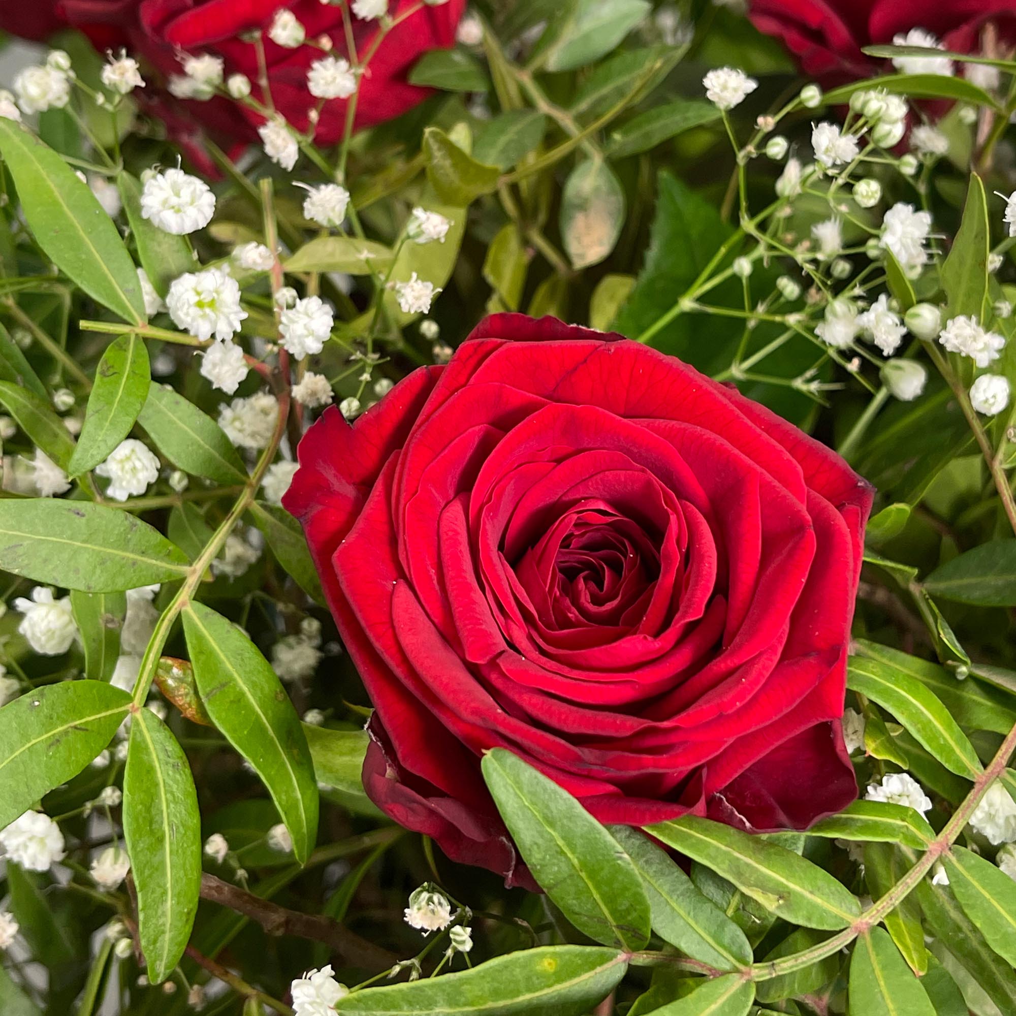 Dozen Red Rose Flower Bouquet - Free Delivery!