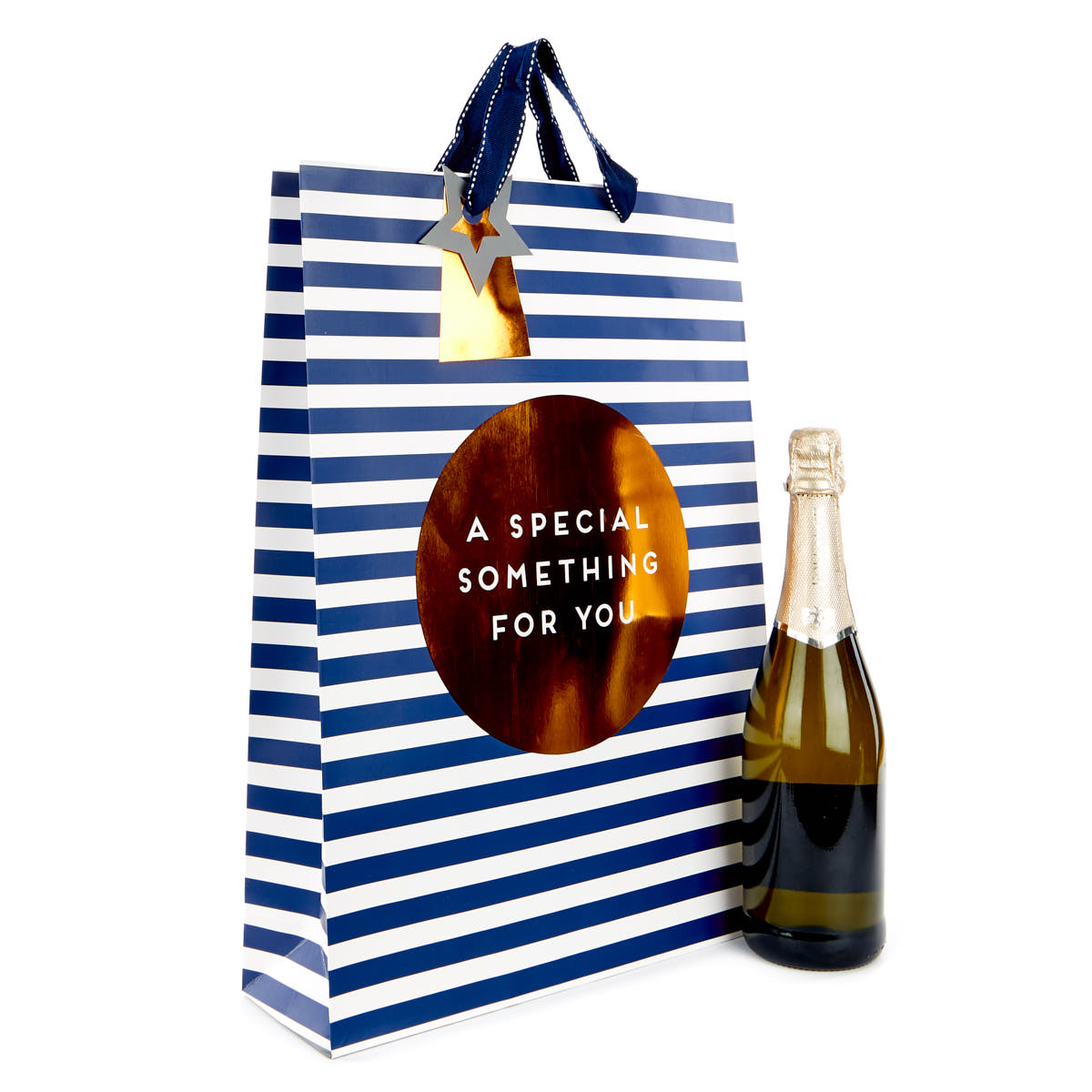 Extra Large Portrait A Special Something Navy Gift Bag