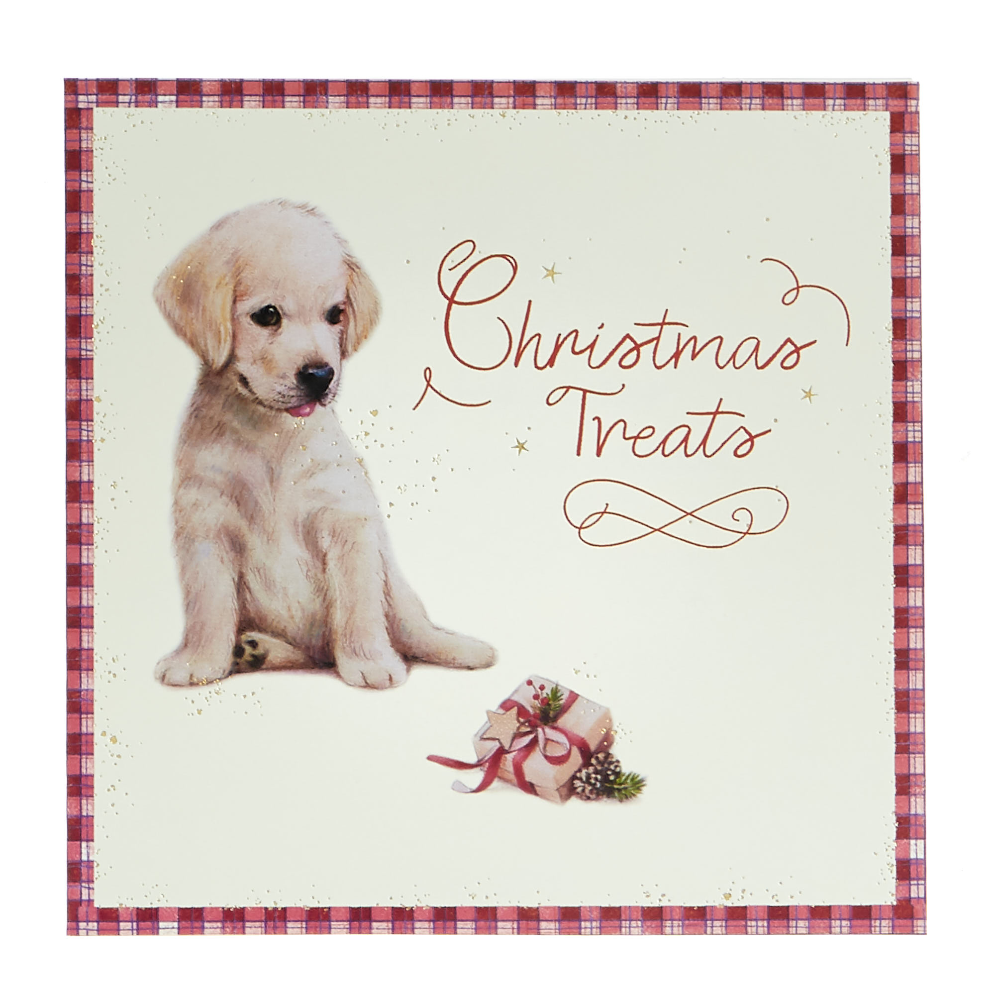 16 Charity Christmas Cards - Festive Pets (4 Designs)