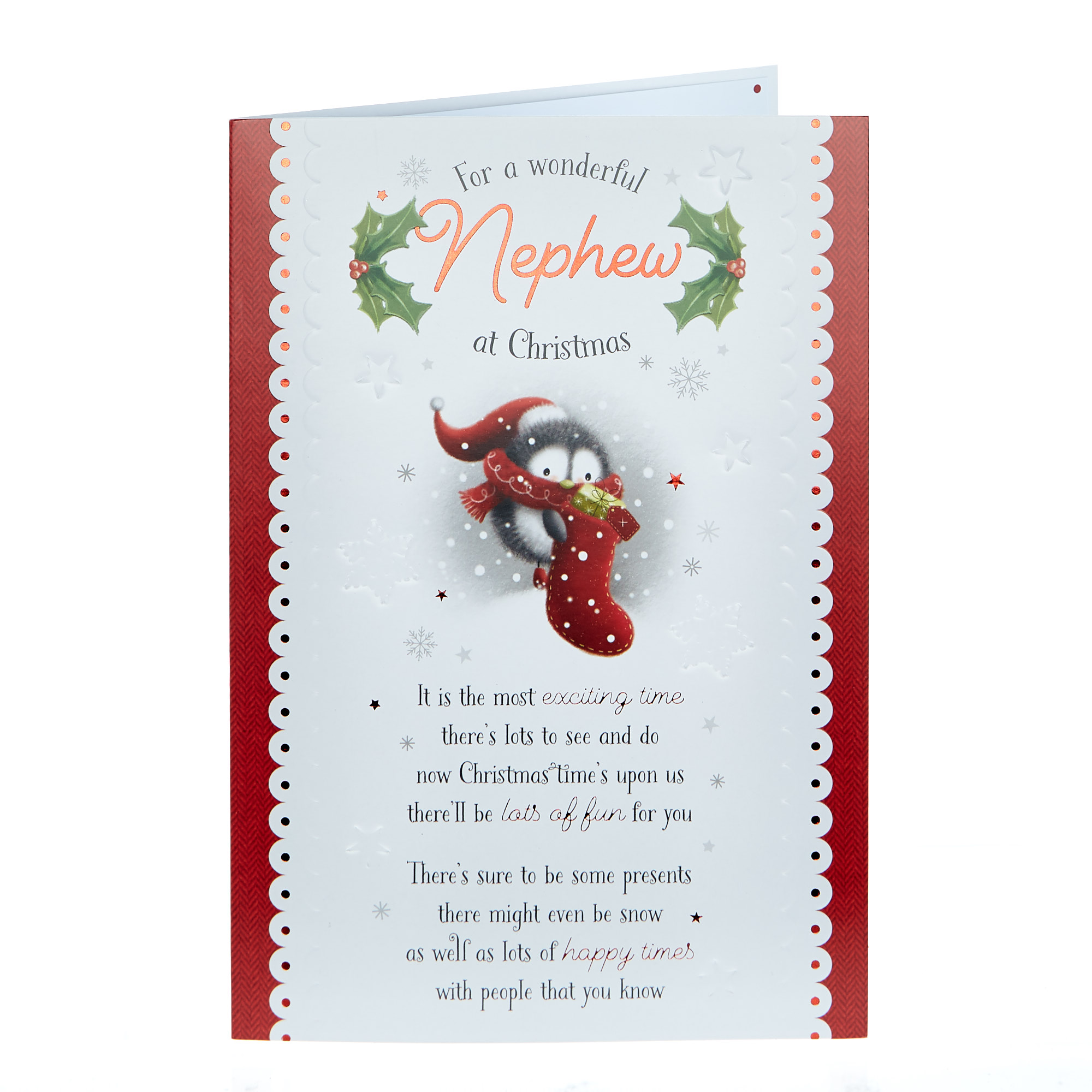 Christmas Card - For A Wonderful Nephew