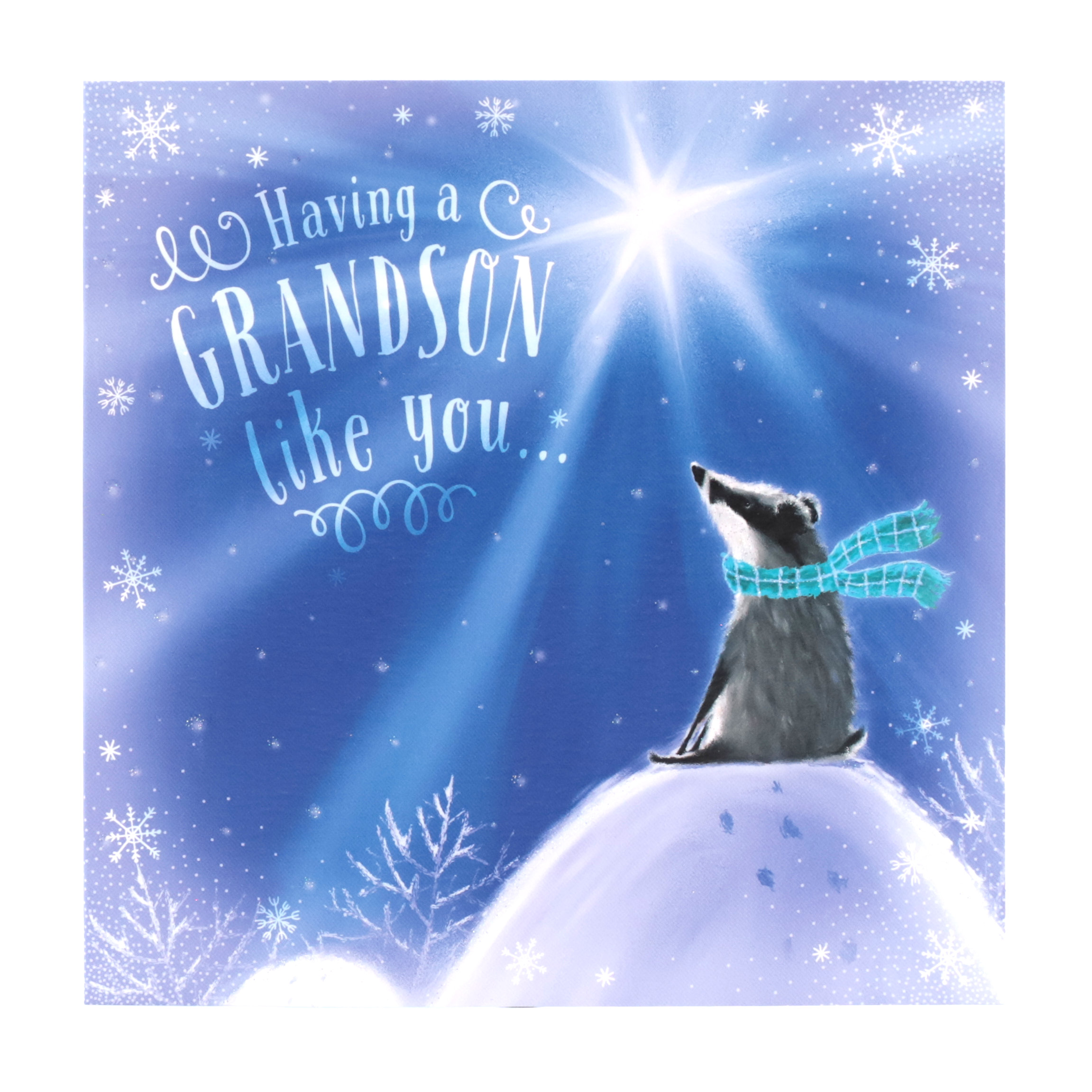 Christmas Card - Grandson, Cute Snowy Scene