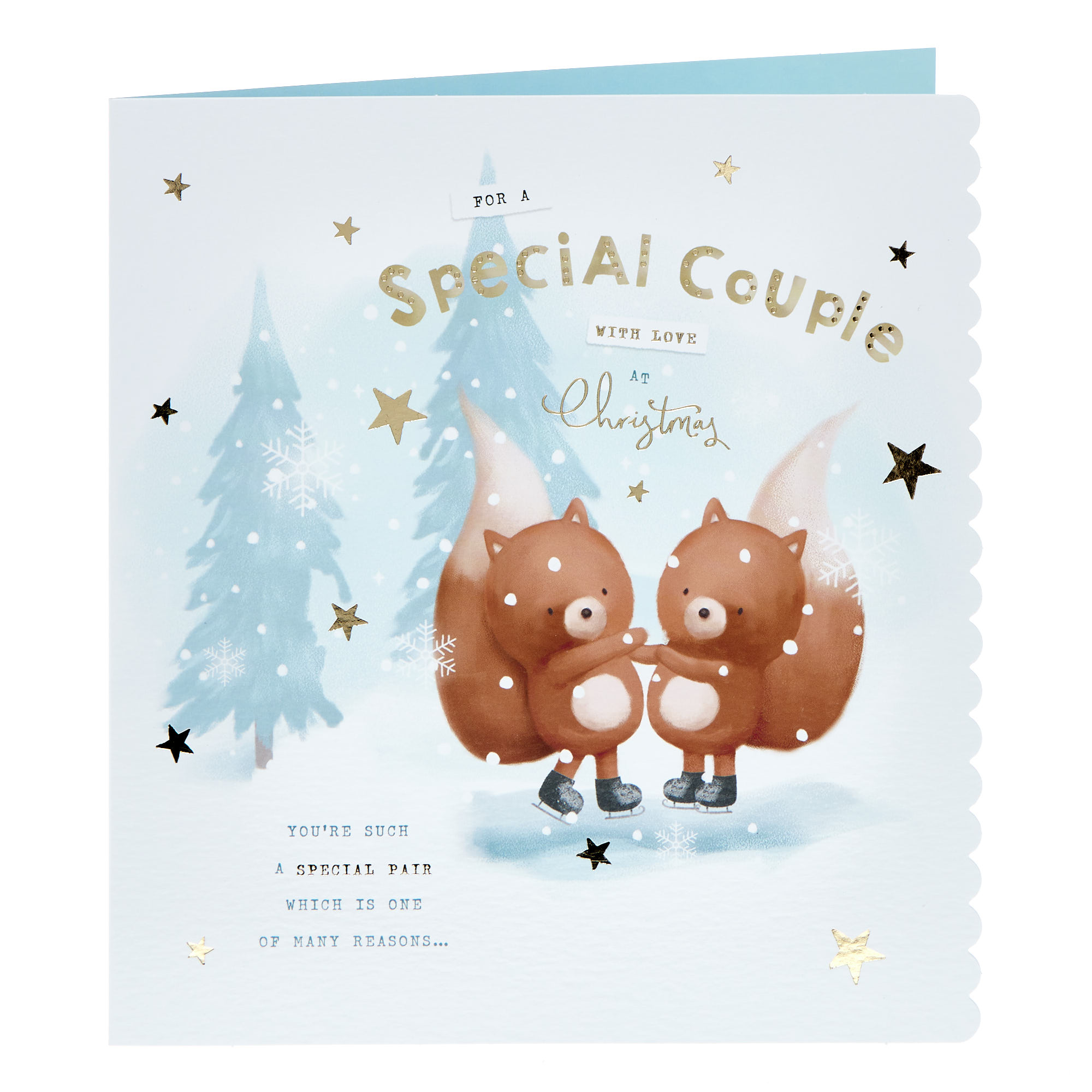 Special Couple Squirrels In Snow Christmas Card