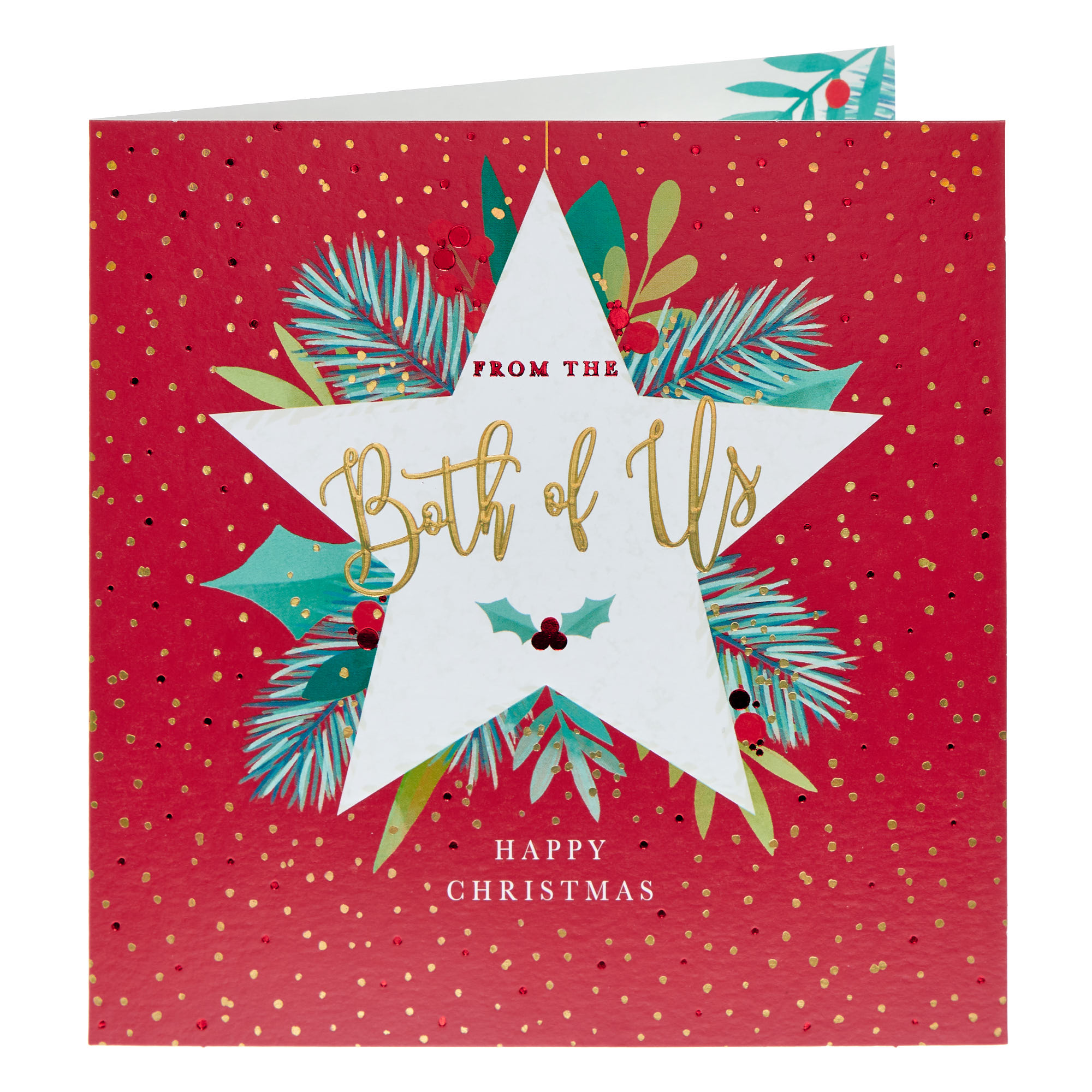 From Both Of Us Star & Leaves Christmas Card