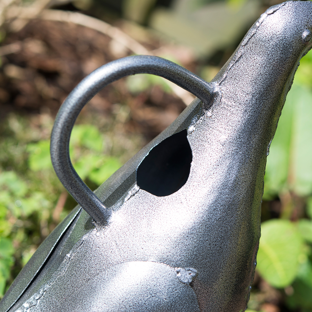 Duck Watering Can