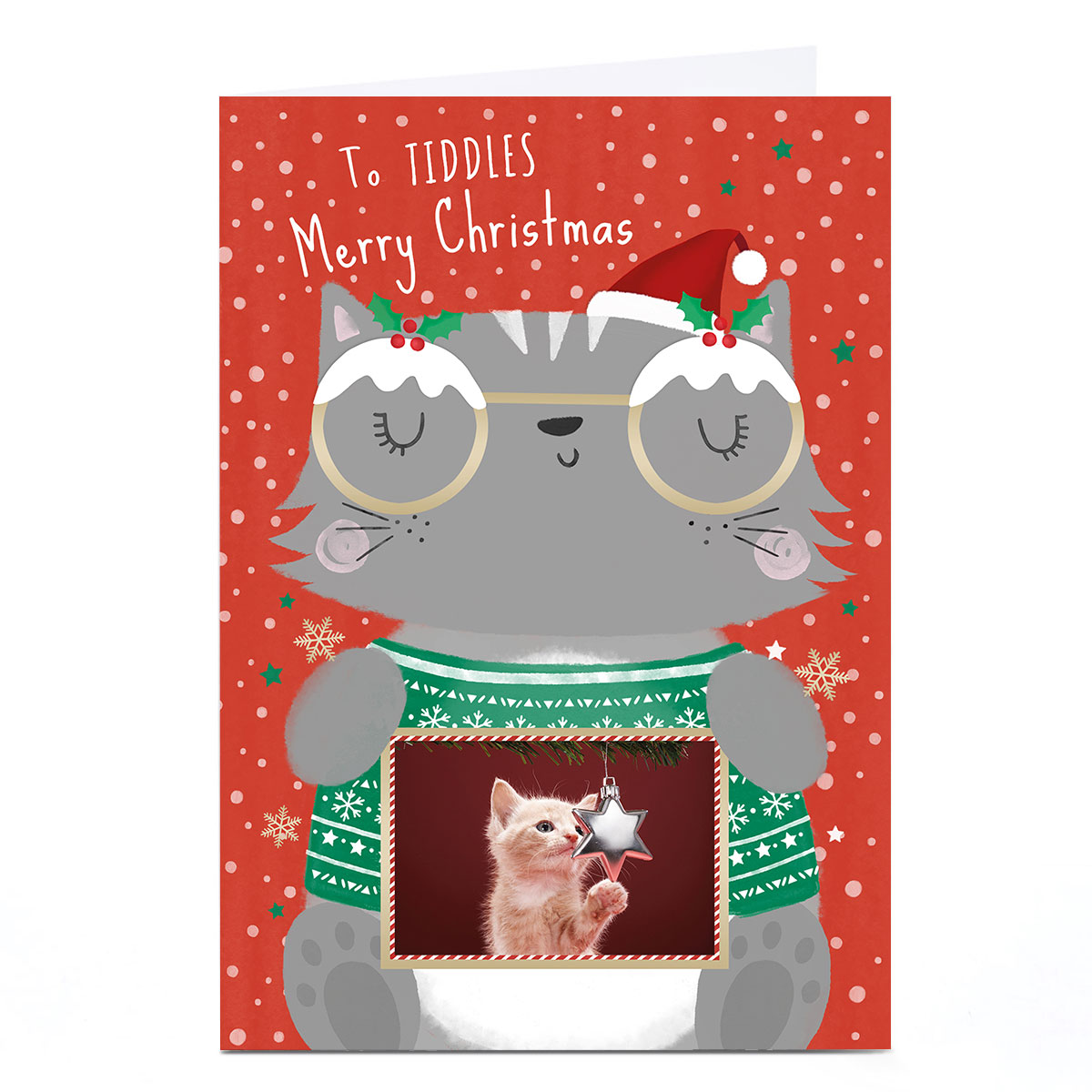 Photo Christmas Card - To The Cat Cartoon